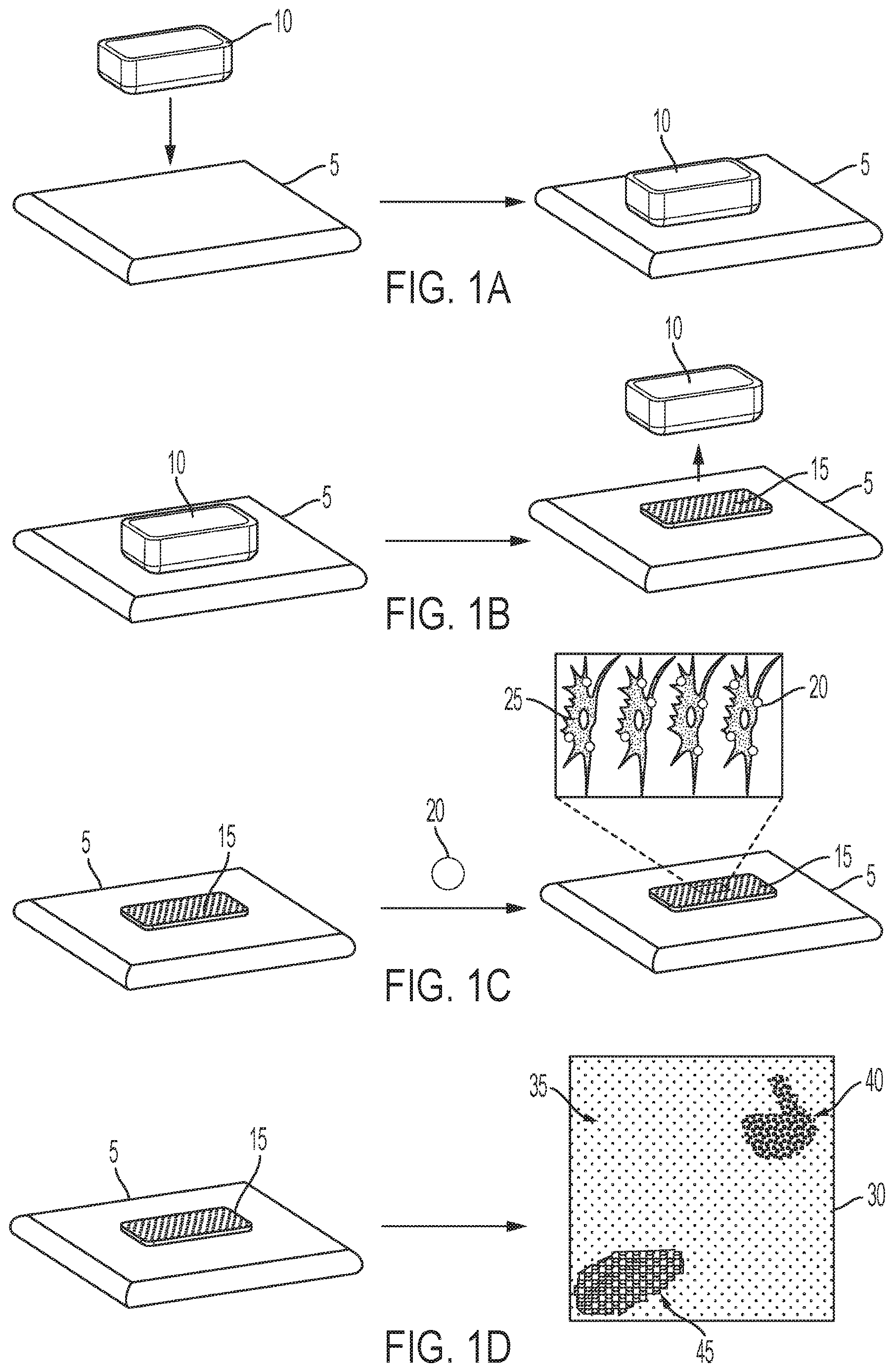 Patent US12618755 Figure 1 – Methods and systems for assessing bioelectric patterns