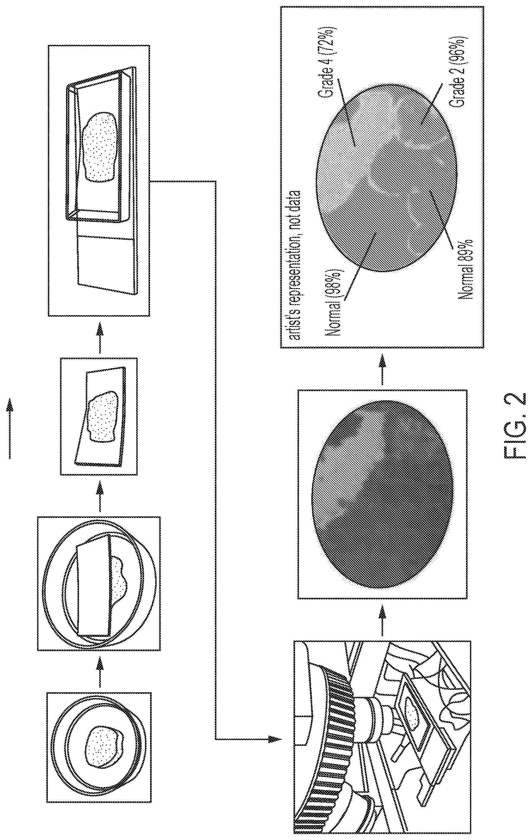 Patent US12618755 Figure 2 – Methods and systems for assessing bioelectric patterns