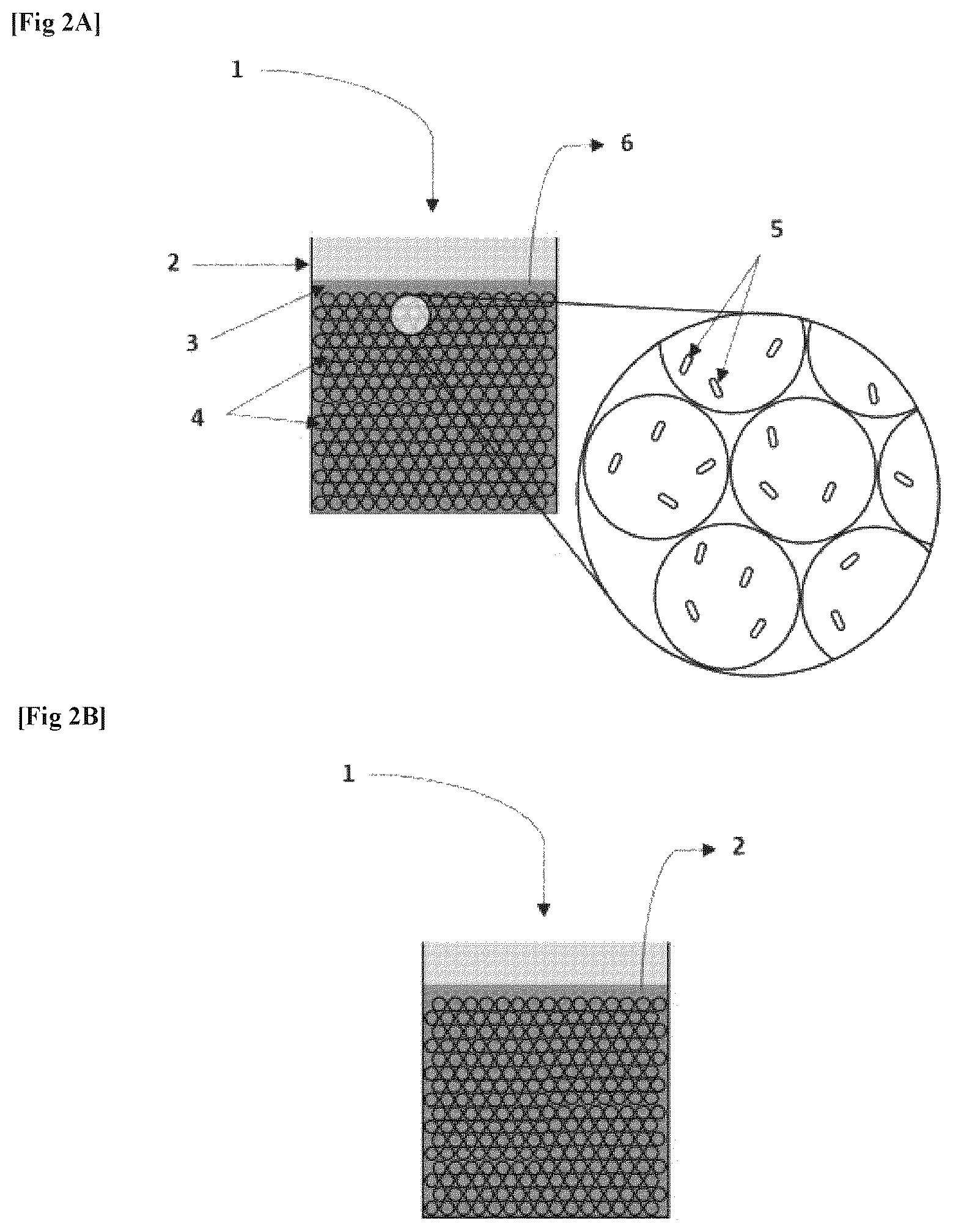 Patent US12618756 Figure 2 – Device containing glass beads functionalized with polyethyleneimine, and use thereof for capturing microorganisms
