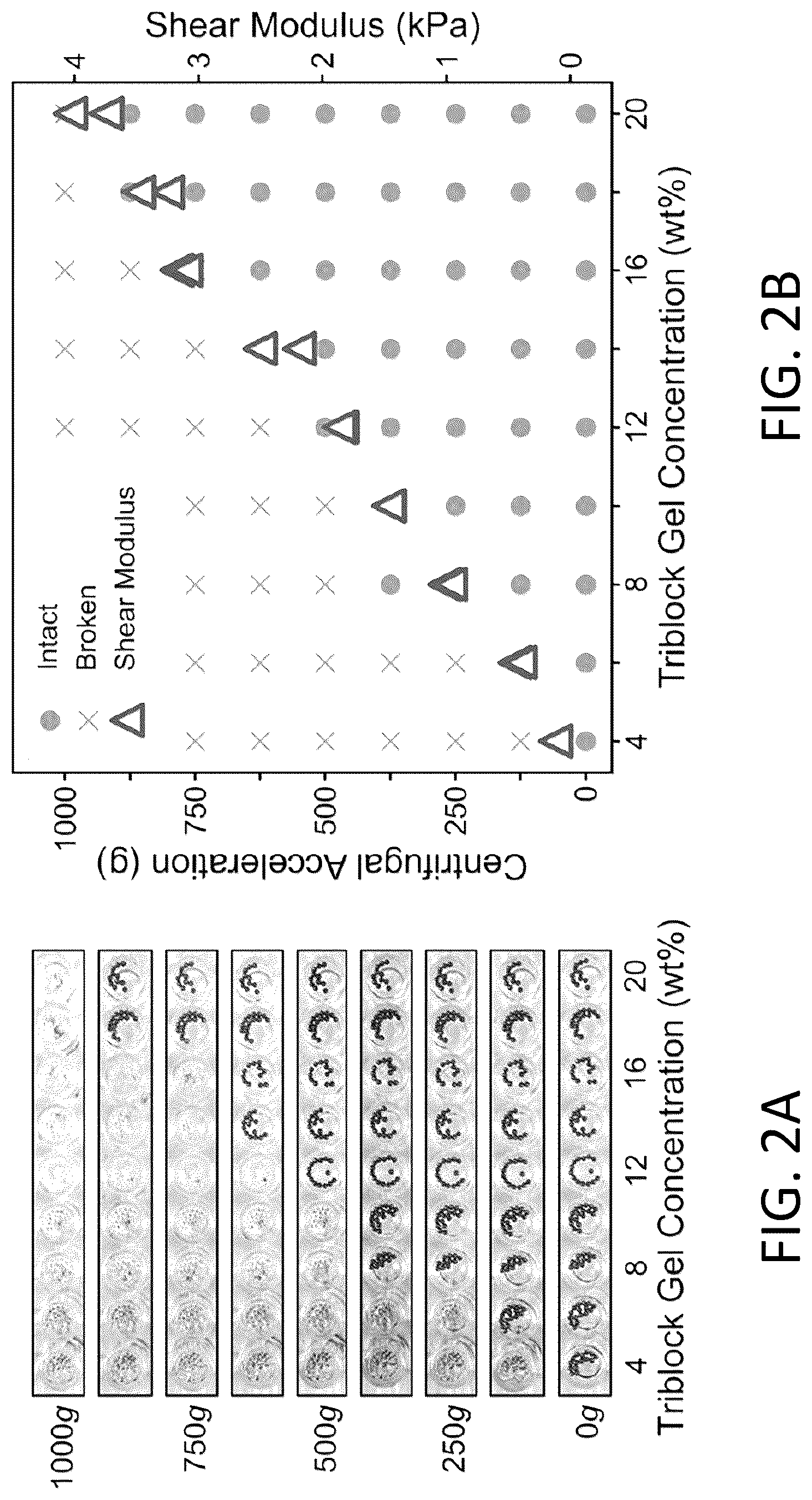 Patent US12618761 Figure 2 – High-throughput quantitative measurement of bulk mechanical properties of soft materials