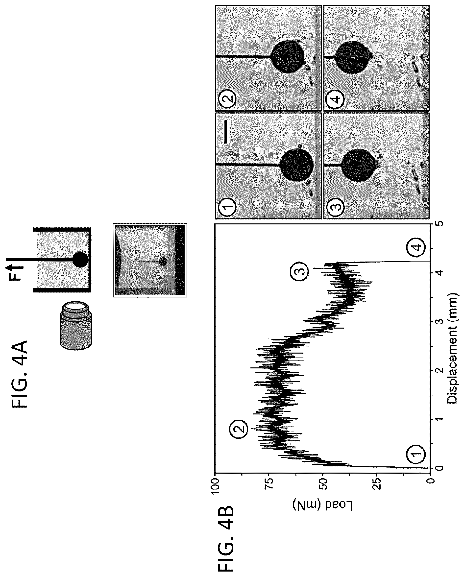 Patent US12618761 Figure 4 – High-throughput quantitative measurement of bulk mechanical properties of soft materials