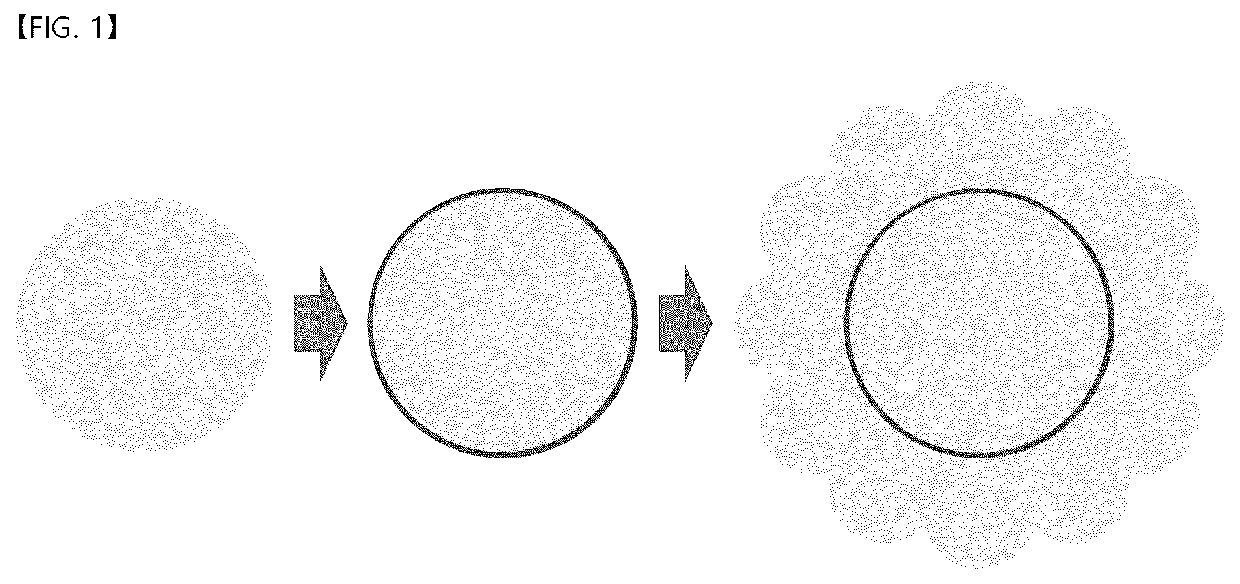 Patent US12618777 Figure 1 – Raman-active nanoparticle for surface-enhanced Raman scattering and method of producing the same