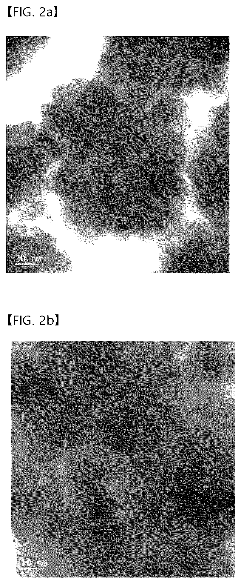 Patent US12618777 Figure 2 – Raman-active nanoparticle for surface-enhanced Raman scattering and method of producing the same