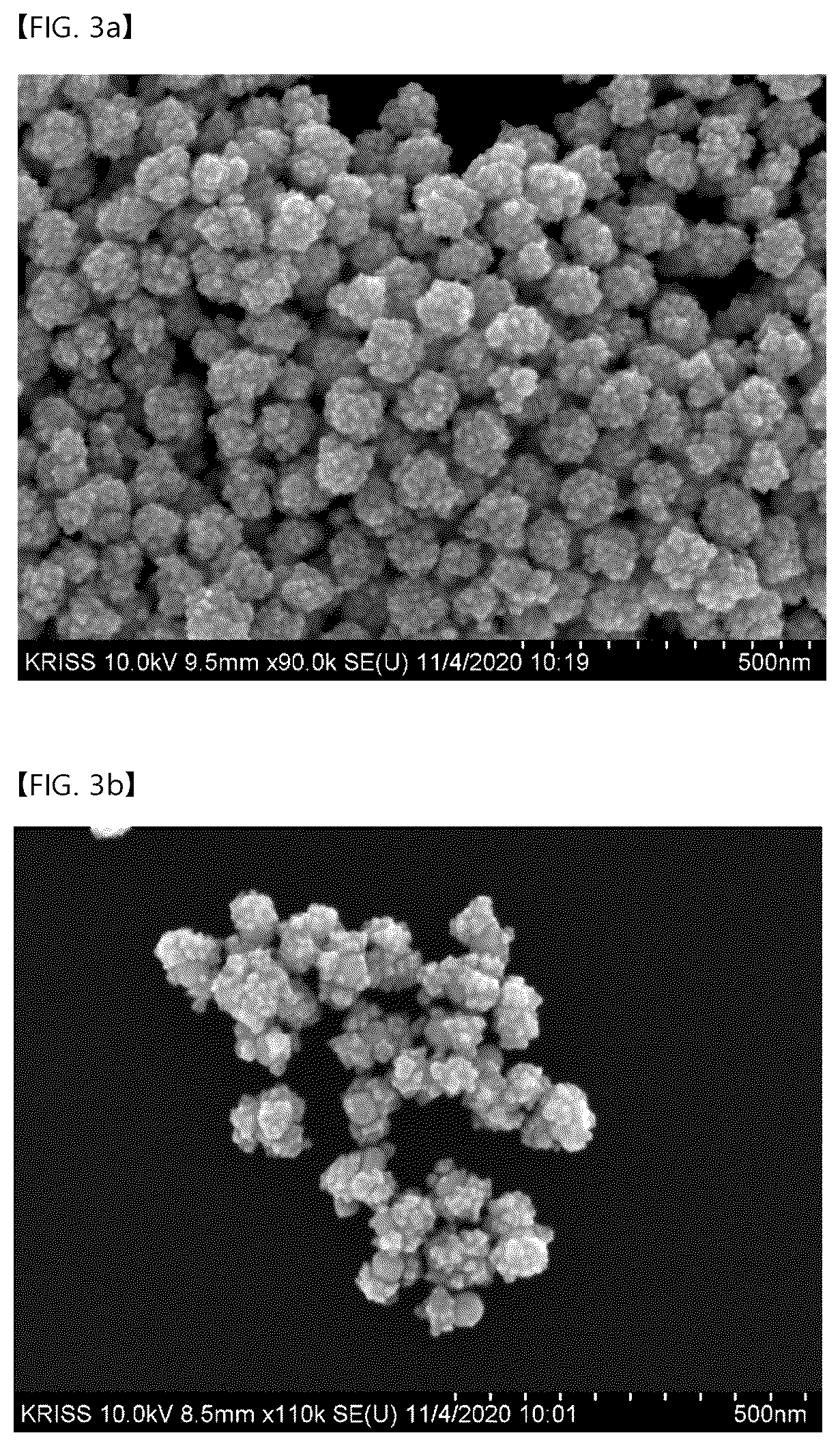 Patent US12618777 Figure 3 – Raman-active nanoparticle for surface-enhanced Raman scattering and method of producing the same