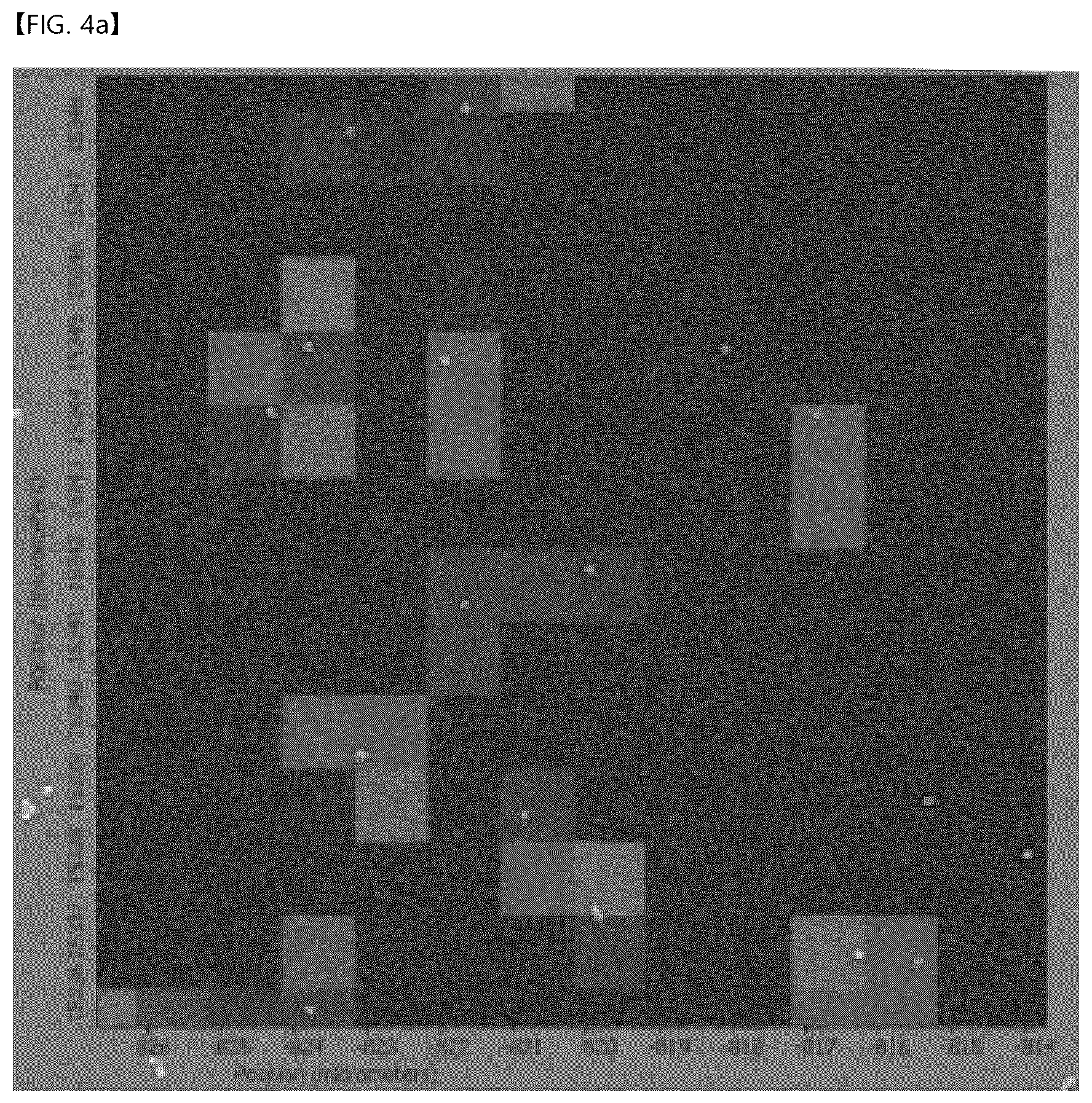 Patent US12618777 Figure 6 – Raman-active nanoparticle for surface-enhanced Raman scattering and method of producing the same