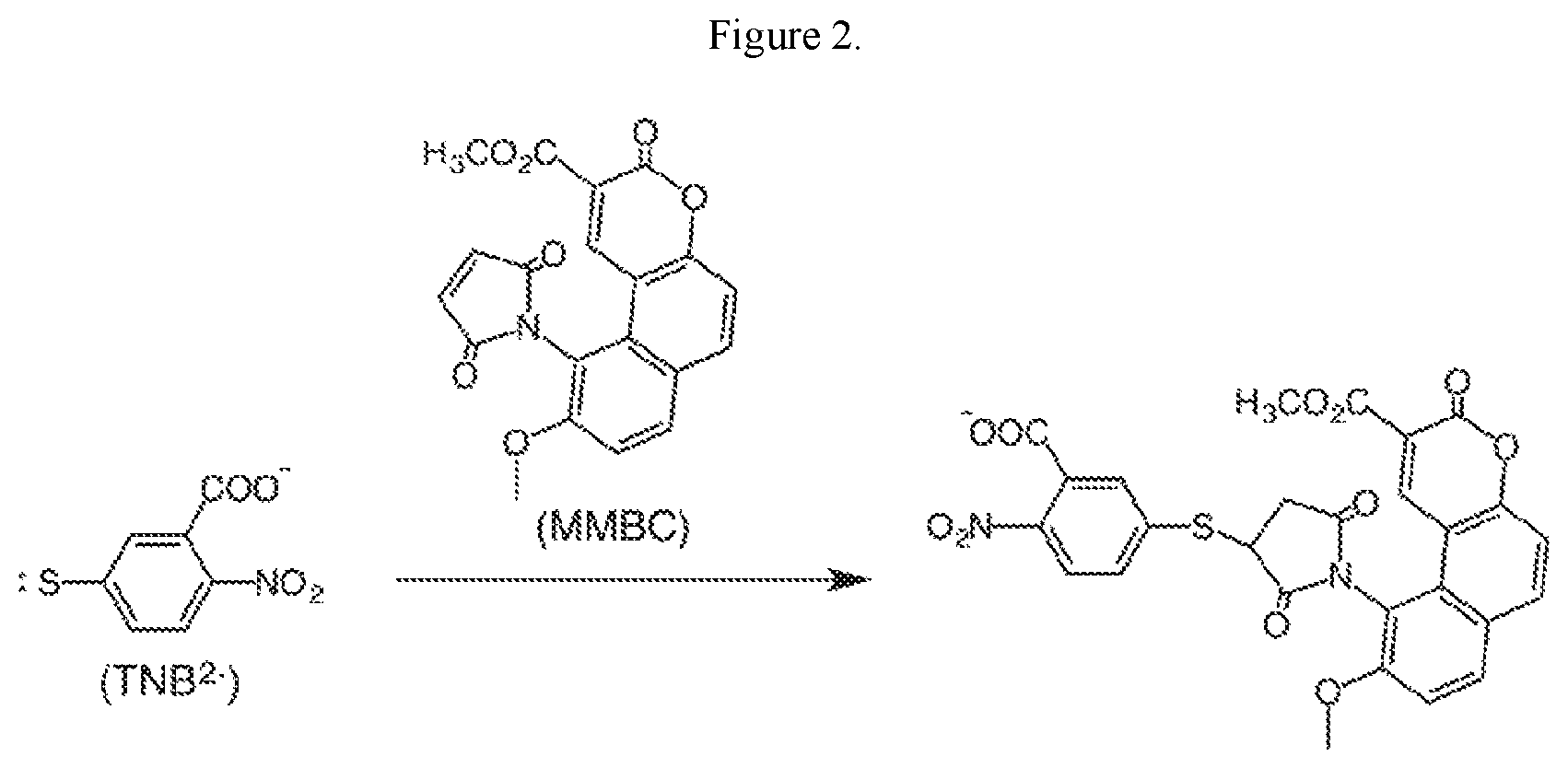 Patent US12618779 Figure 2 – Fluorescent ellman assay for free thiol detection