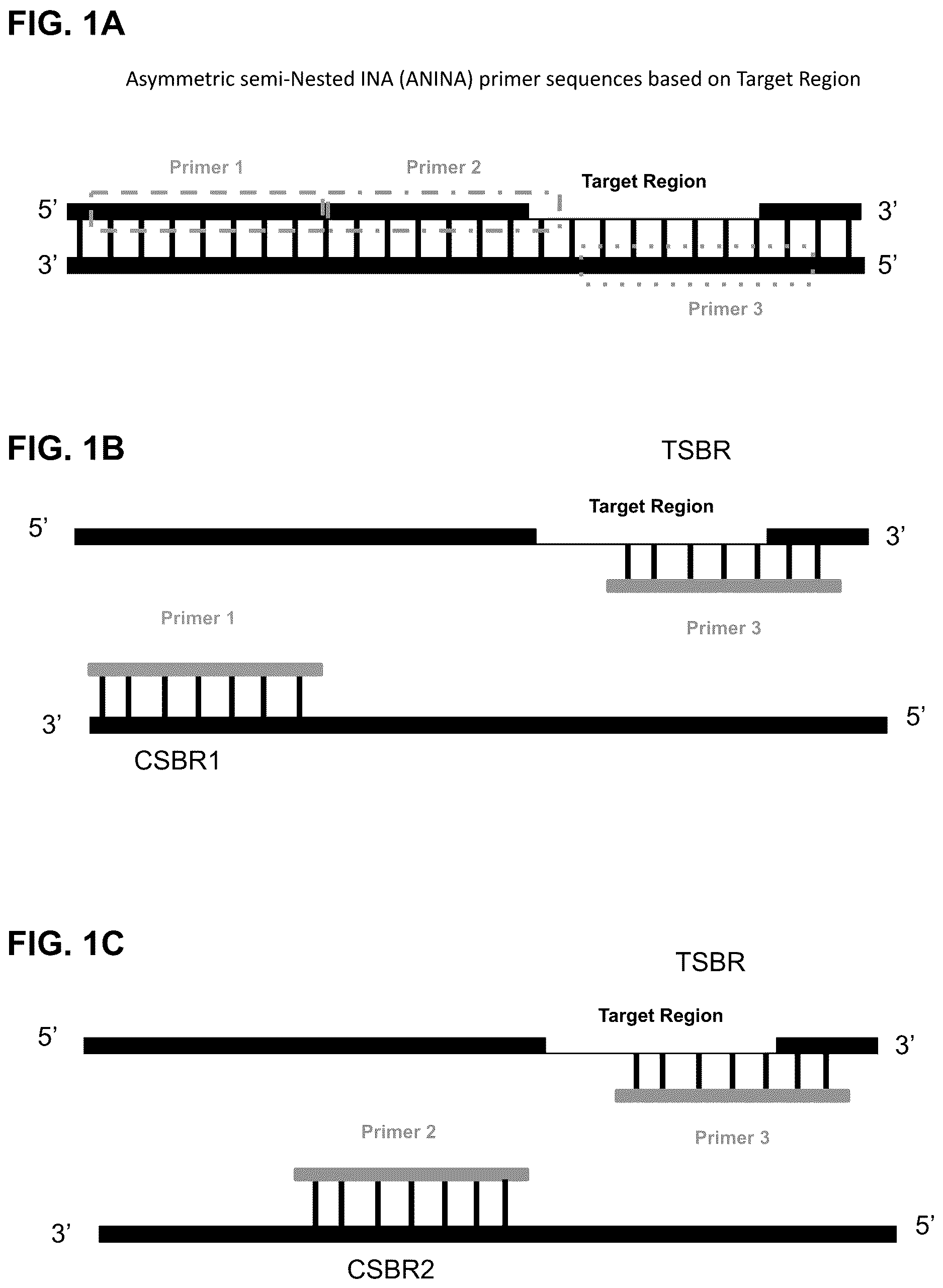 Patent US12618795 Figure 1 – Methods for asymmetric semi-nested isothermal nucleotide amplification