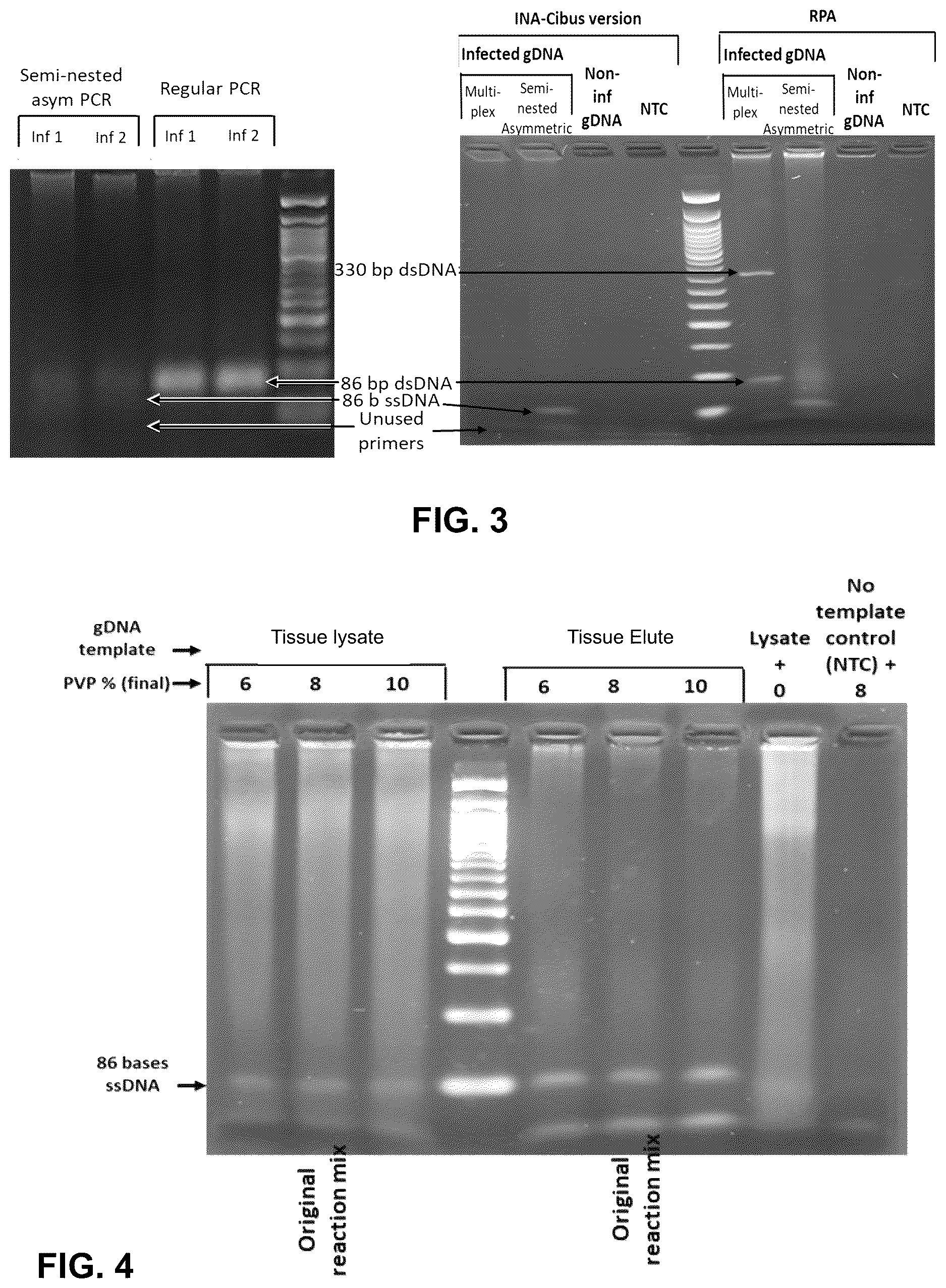 Patent US12618795 Figure 3 – Methods for asymmetric semi-nested isothermal nucleotide amplification