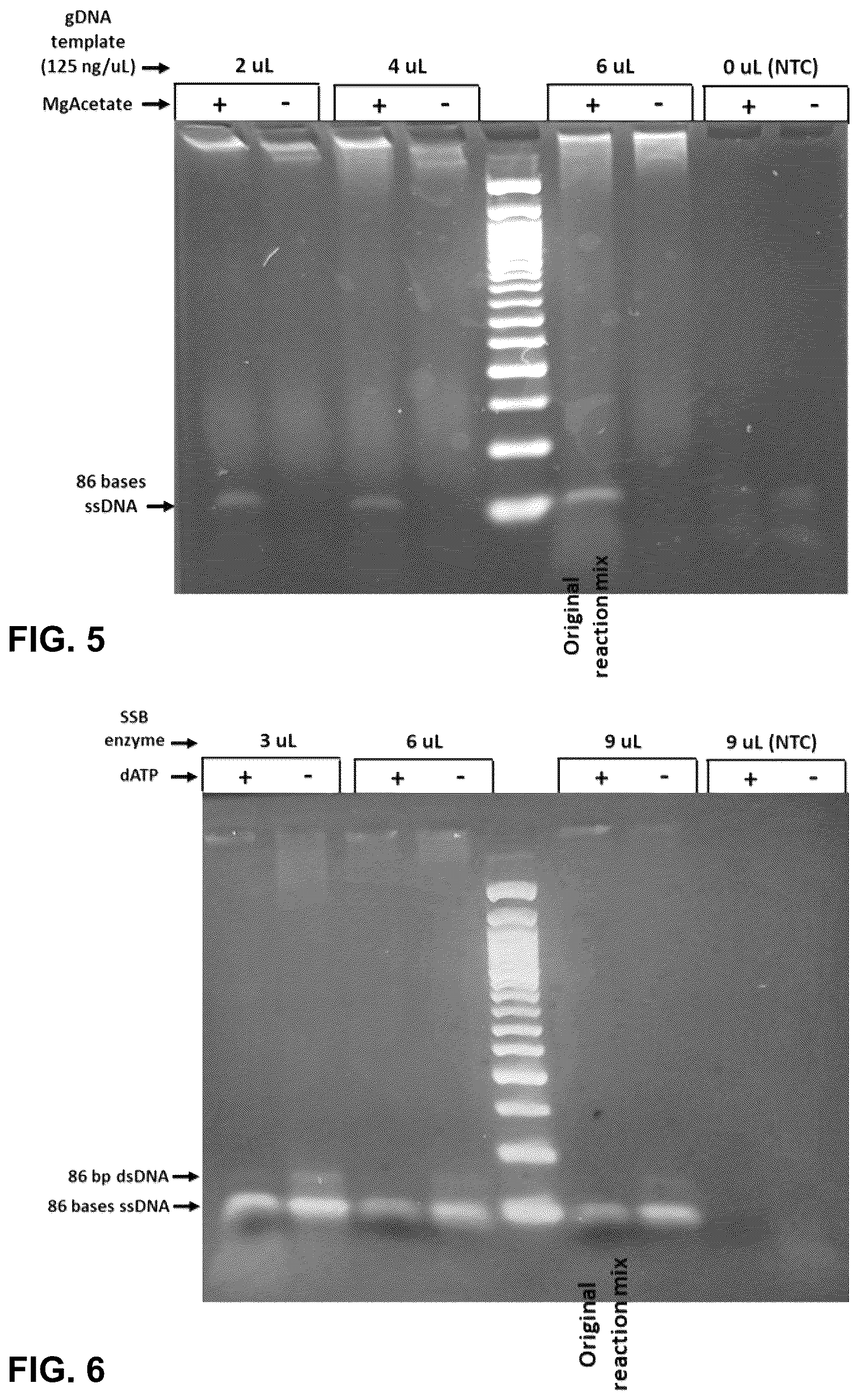 Patent US12618795 Figure 4 – Methods for asymmetric semi-nested isothermal nucleotide amplification