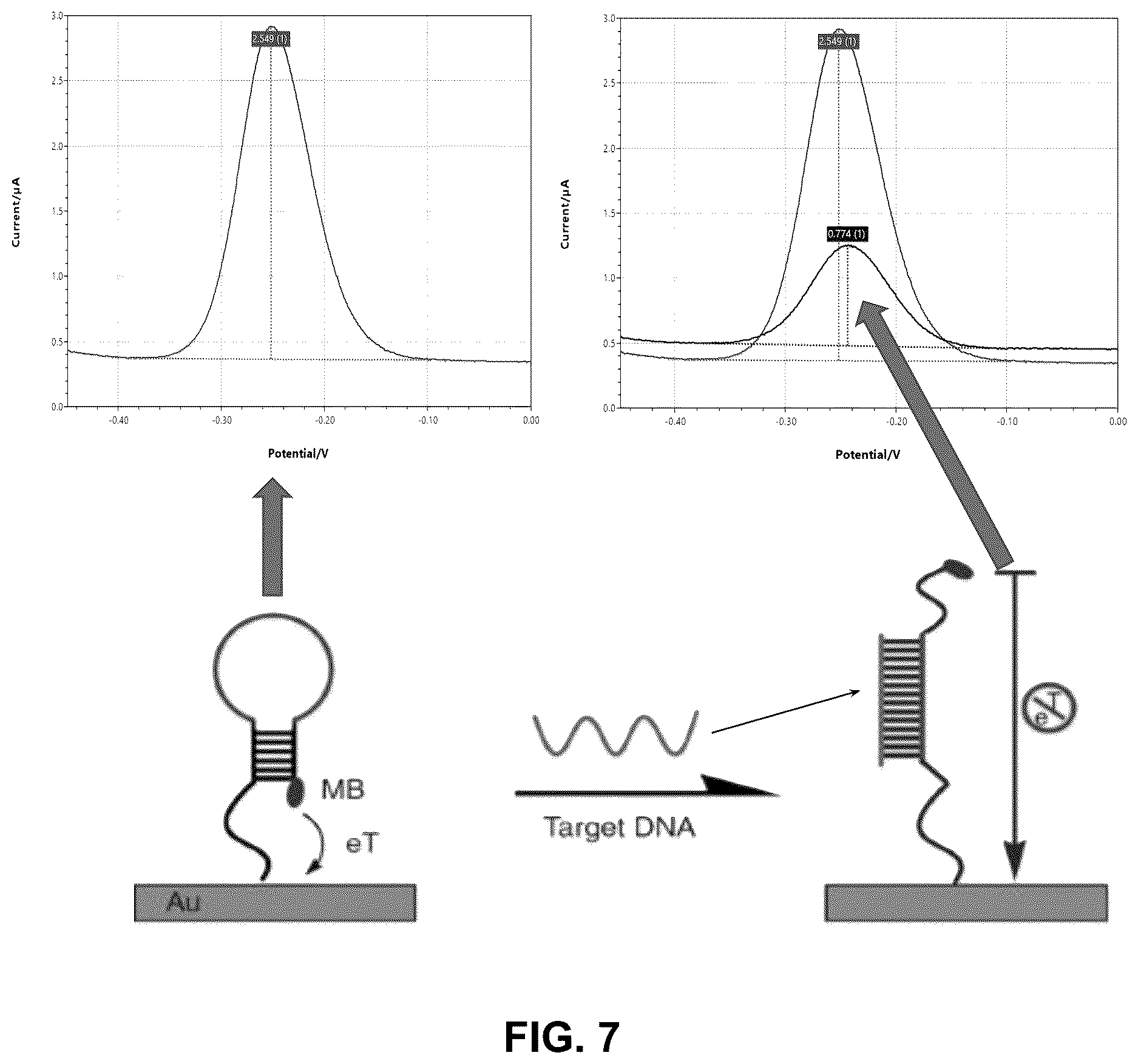 Patent US12618795 Figure 5 – Methods for asymmetric semi-nested isothermal nucleotide amplification