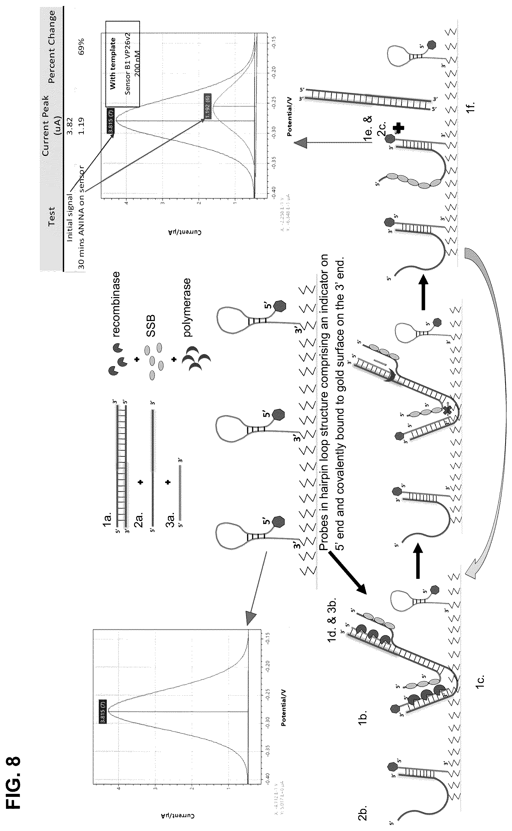 Patent US12618795 Figure 6 – Methods for asymmetric semi-nested isothermal nucleotide amplification