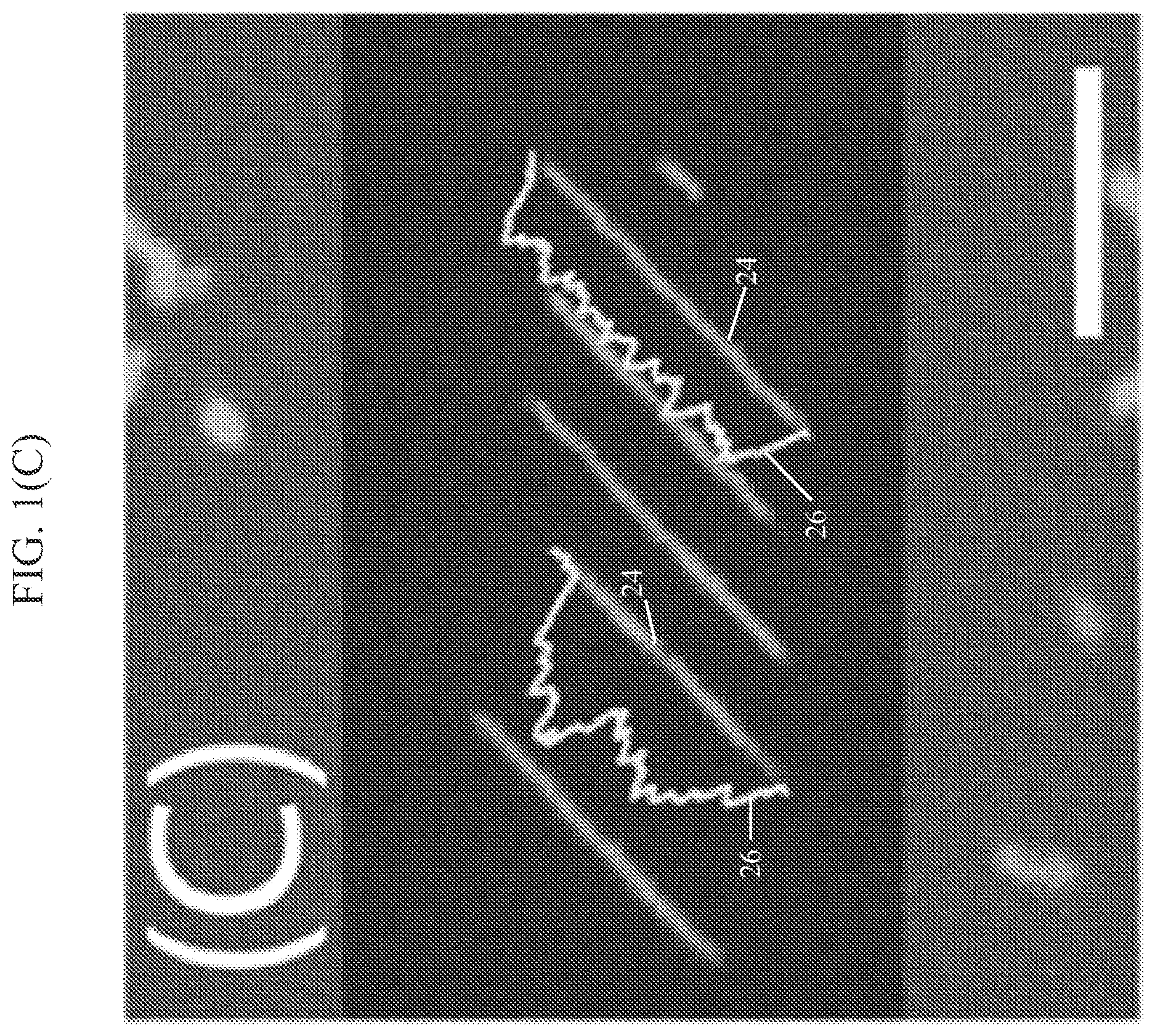 Patent US12618801 Figure 3 – System and method for presenting large DNA molecules for analysis
