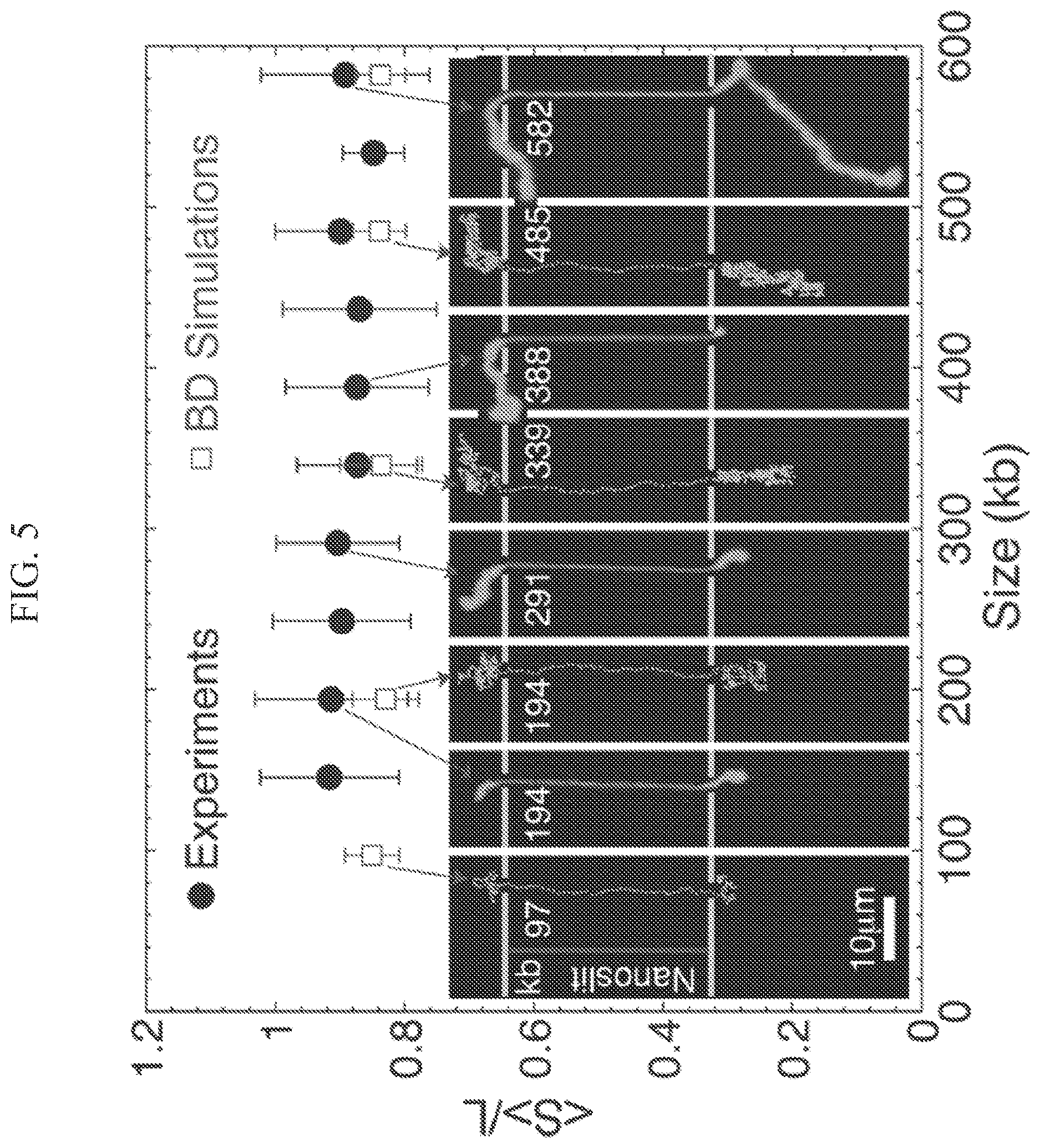 Patent US12618801 Figure 7 – System and method for presenting large DNA molecules for analysis