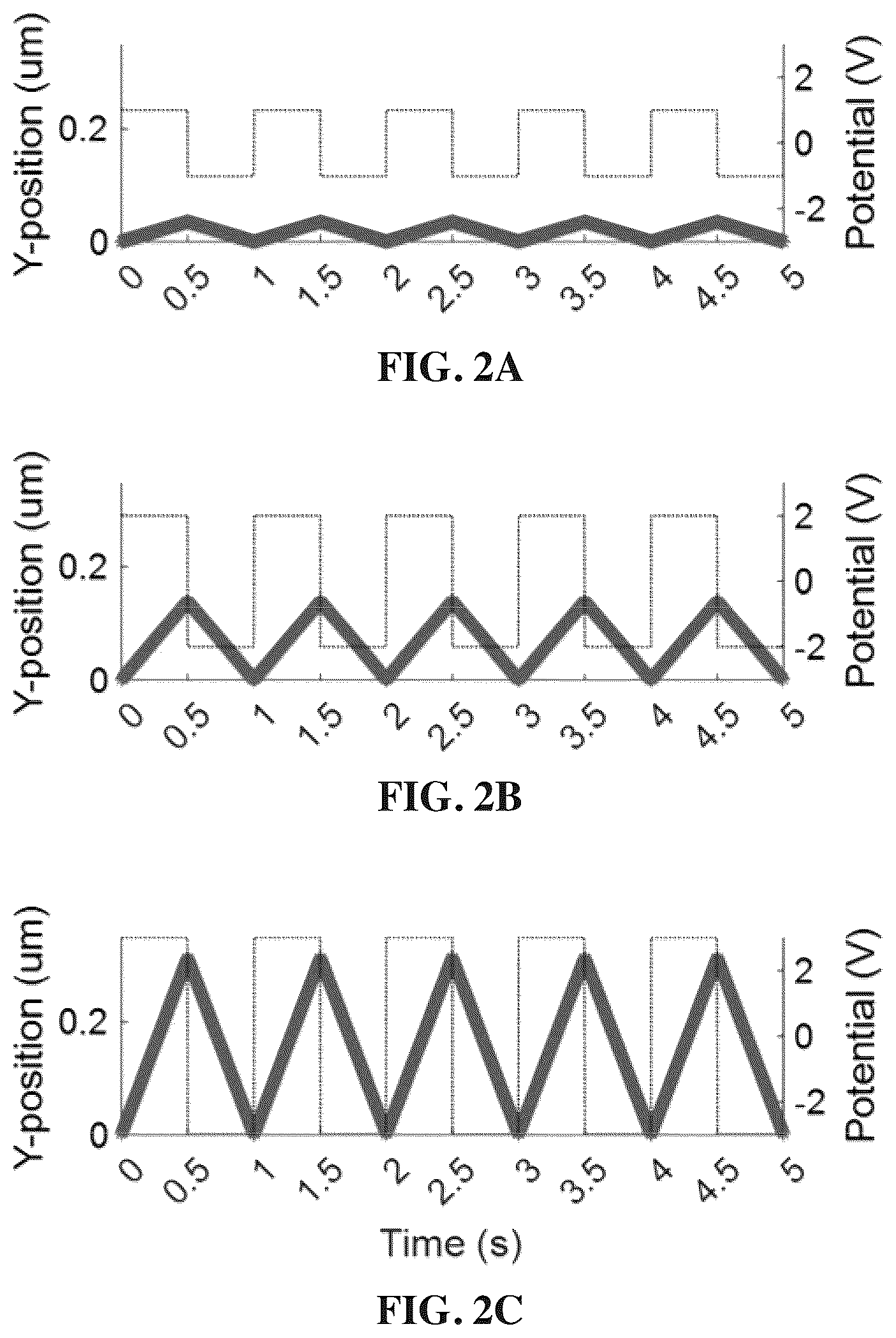 Patent US12618802 Figure 2 – Transverse alternating current electrophoresis systems and methods