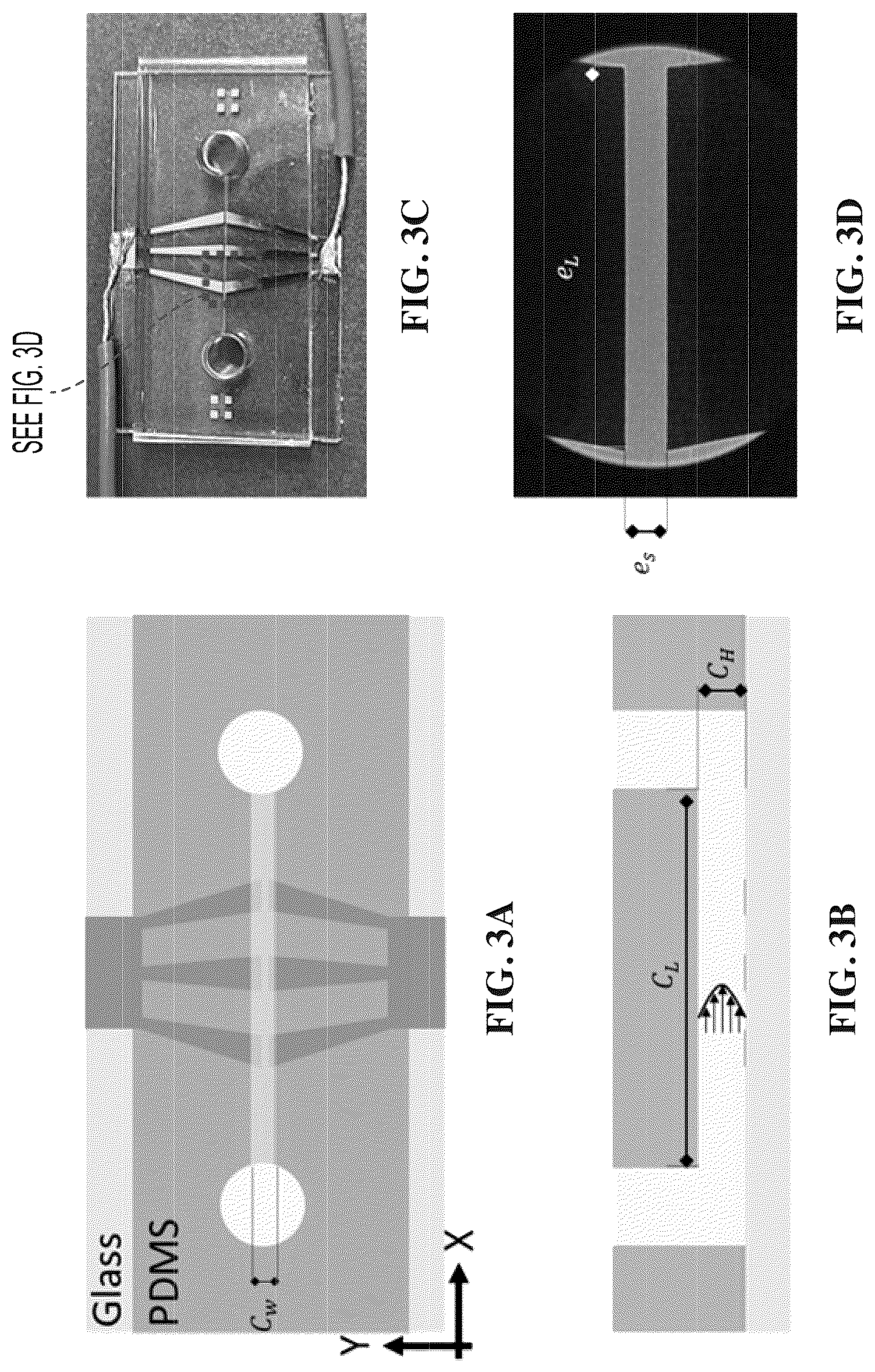 Patent US12618802 Figure 3 – Transverse alternating current electrophoresis systems and methods