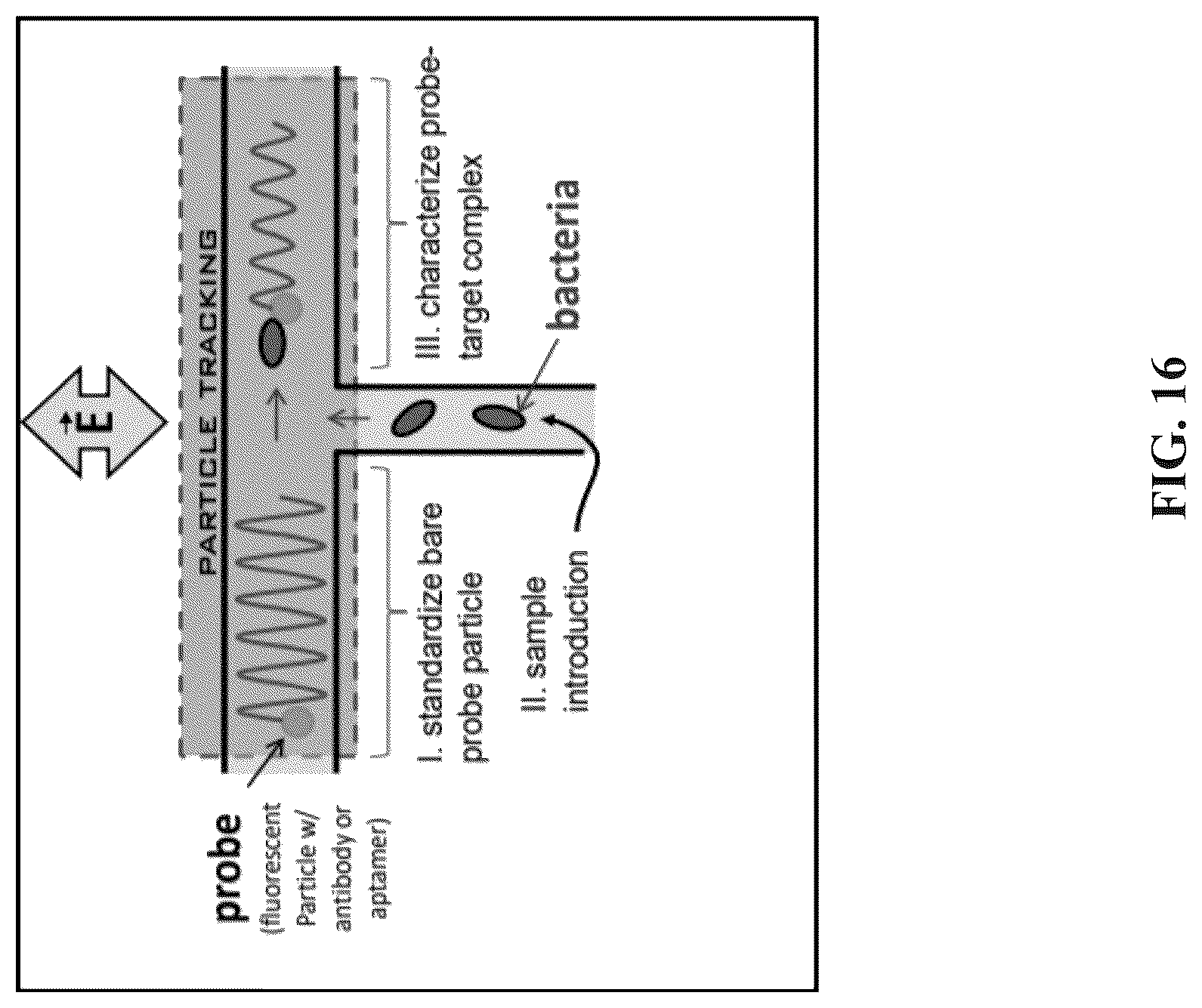 Patent US12618802 Figure 16 – Transverse alternating current electrophoresis systems and methods