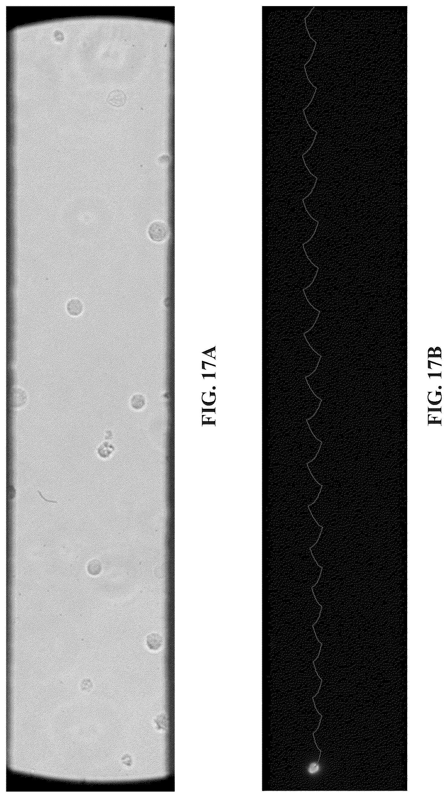 Patent US12618802 Figure 17 – Transverse alternating current electrophoresis systems and methods