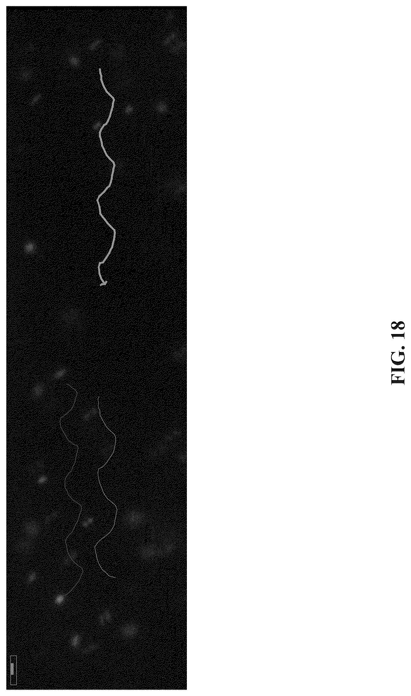 Patent US12618802 Figure 18 – Transverse alternating current electrophoresis systems and methods