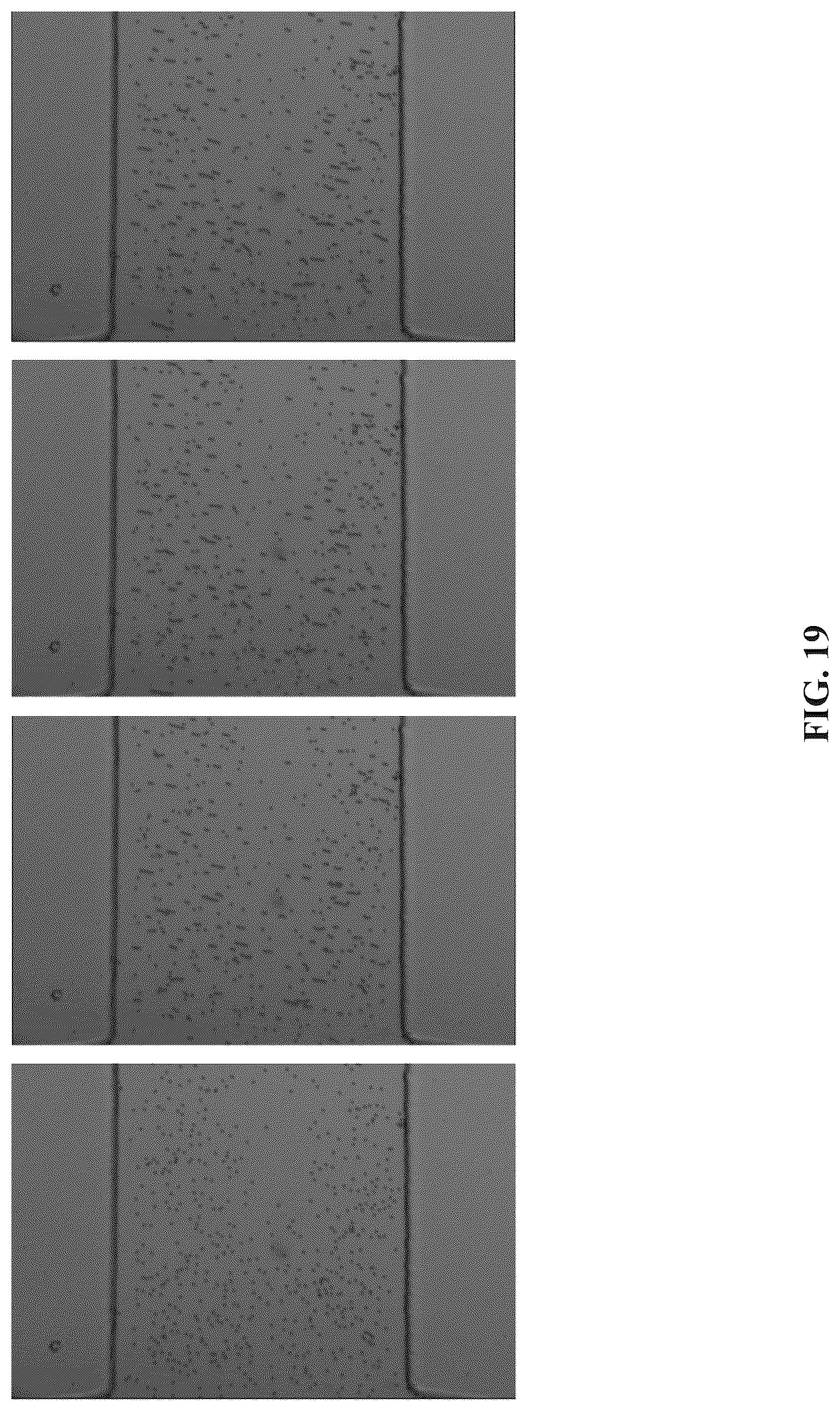 Patent US12618802 Figure 19 – Transverse alternating current electrophoresis systems and methods