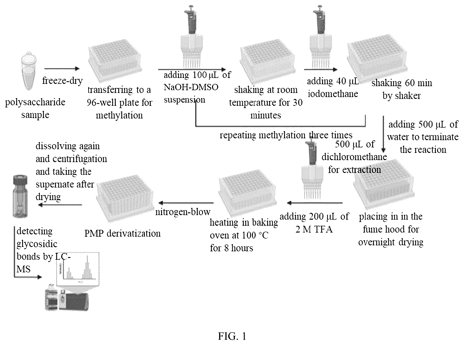 Patent US12618813 Figure 1 – Method for detecting glycosidic bonds of plant polysaccharides
