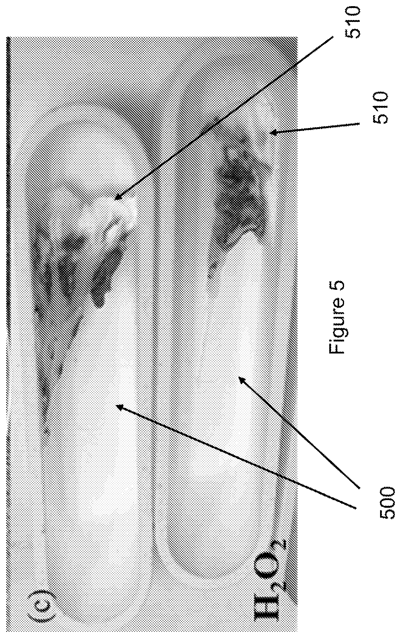 Patent US12618823 Figure 6 – Method of quantifying microplastic mass