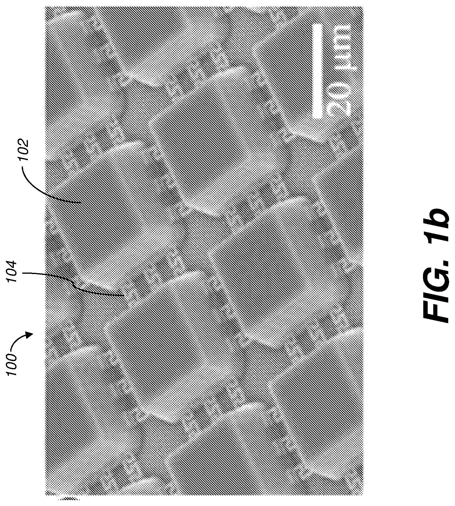 Patent US12618825 Figure 2 – Biological sensing system having micro-electrode array