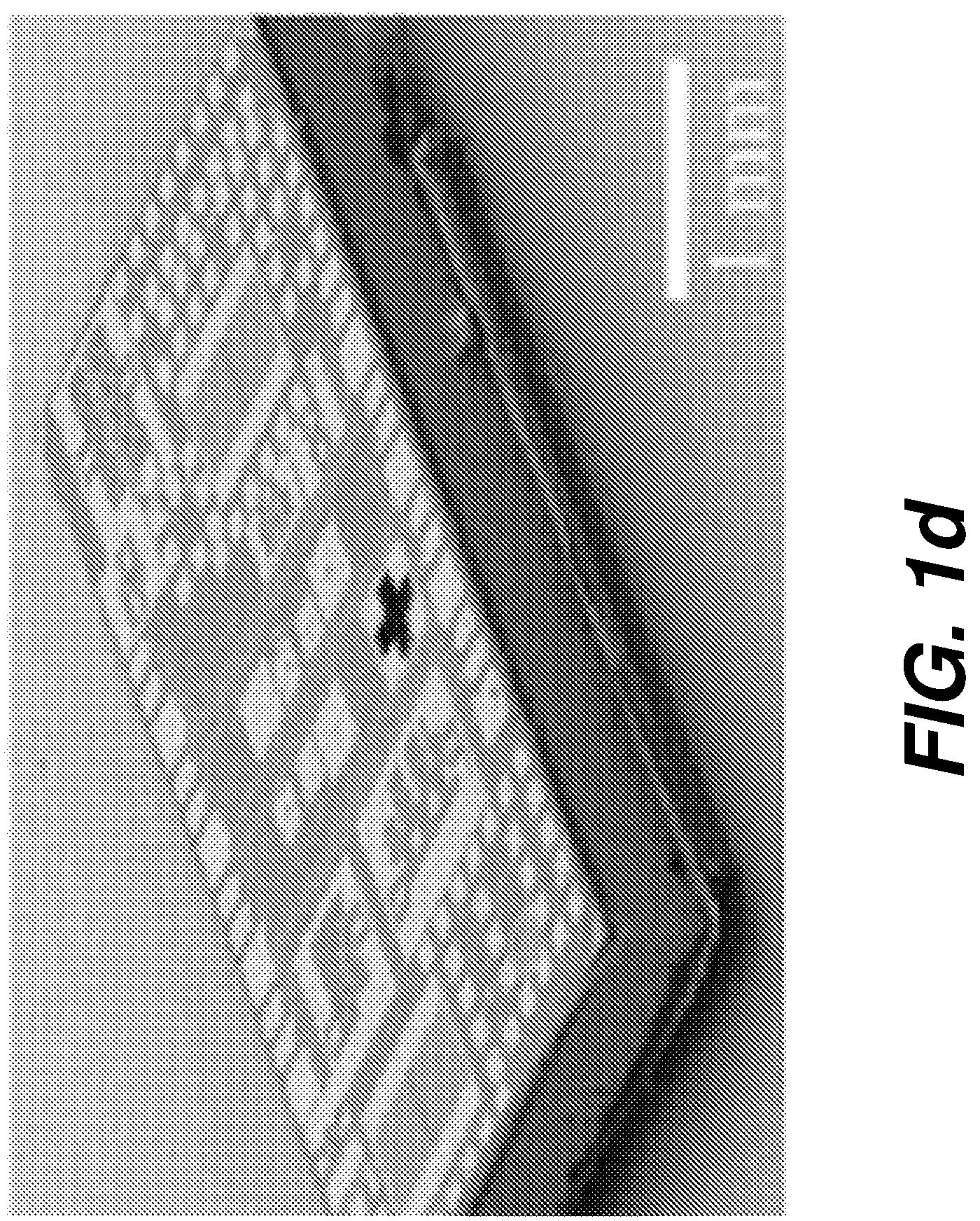 Patent US12618825 Figure 4 – Biological sensing system having micro-electrode array