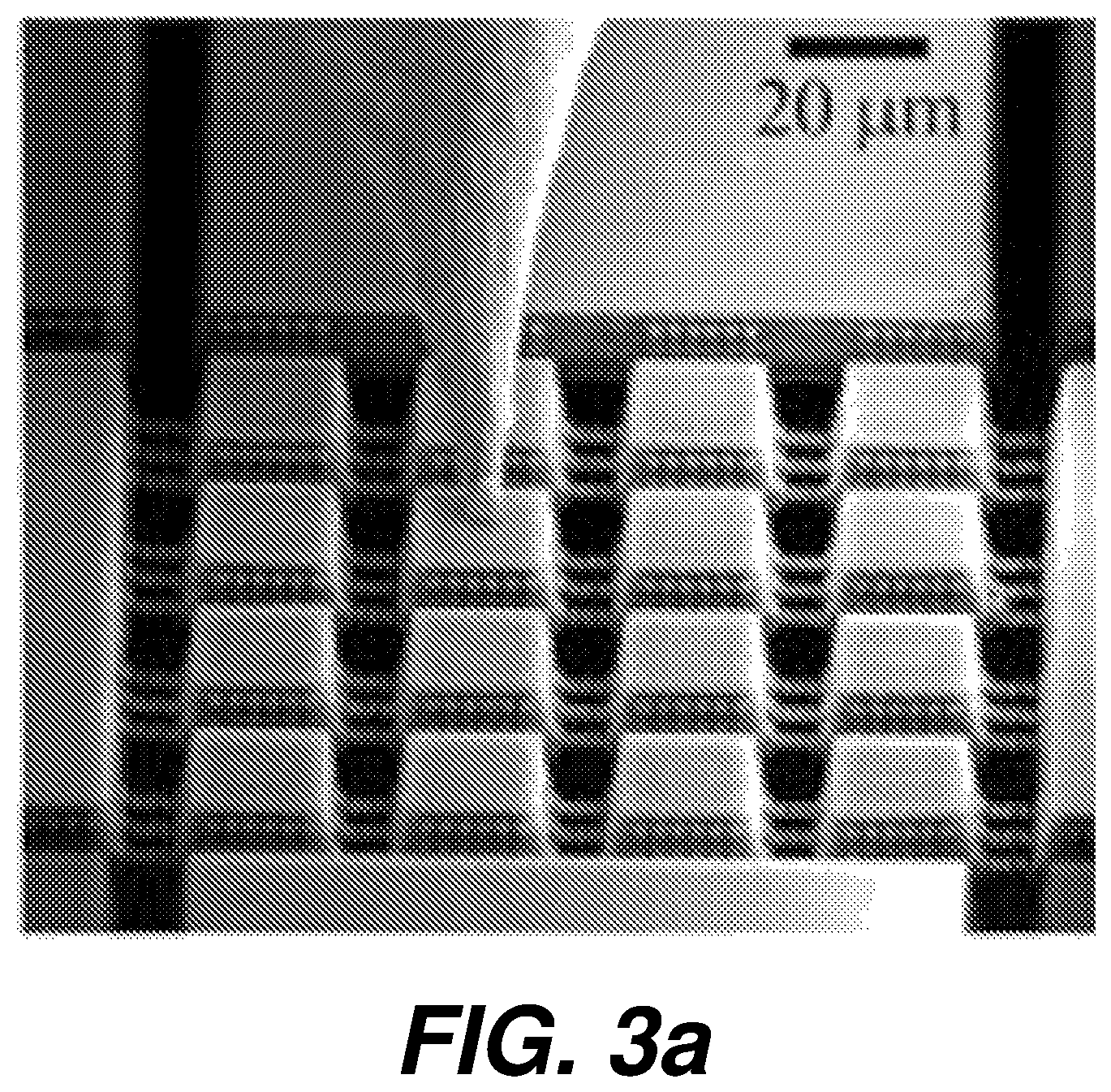 Patent US12618825 Figure 10 – Biological sensing system having micro-electrode array