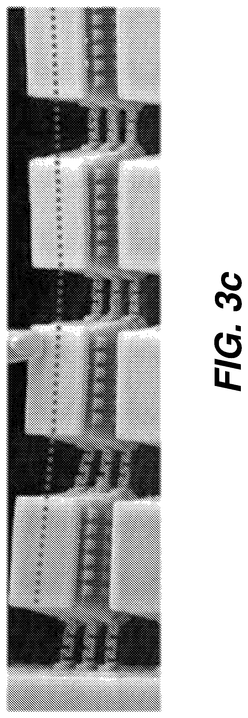 Patent US12618825 Figure 12 – Biological sensing system having micro-electrode array