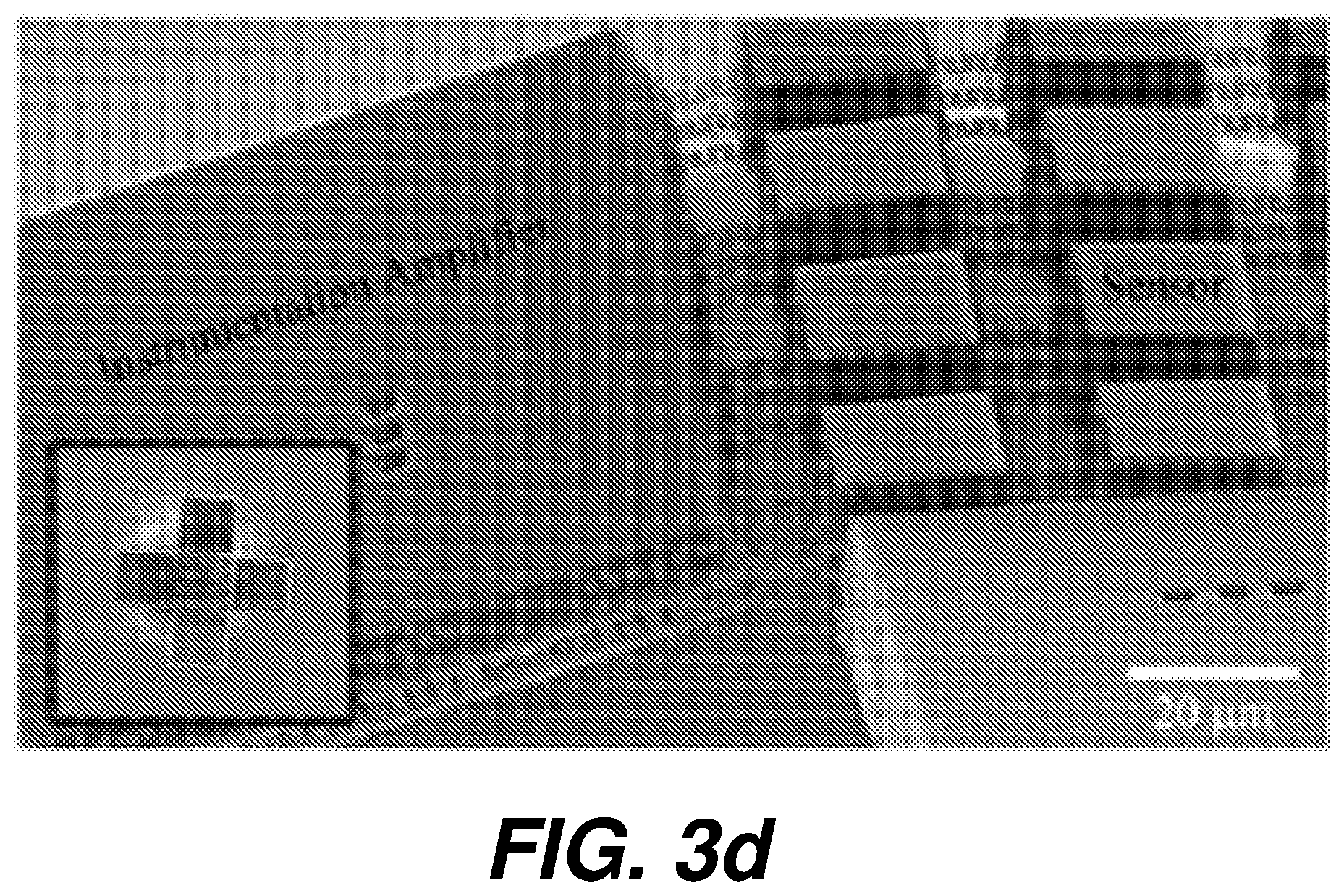 Patent US12618825 Figure 13 – Biological sensing system having micro-electrode array