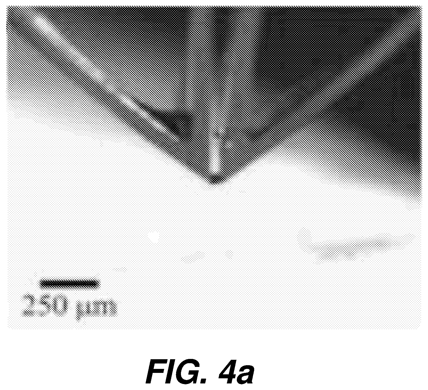 Patent US12618825 Figure 14 – Biological sensing system having micro-electrode array