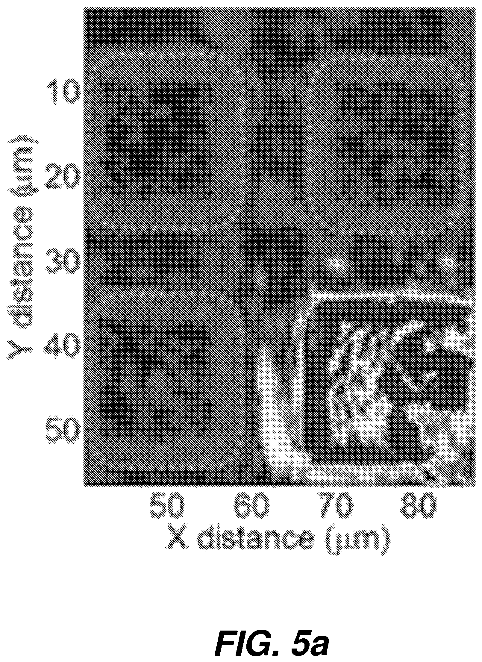 Patent US12618825 Figure 20 – Biological sensing system having micro-electrode array