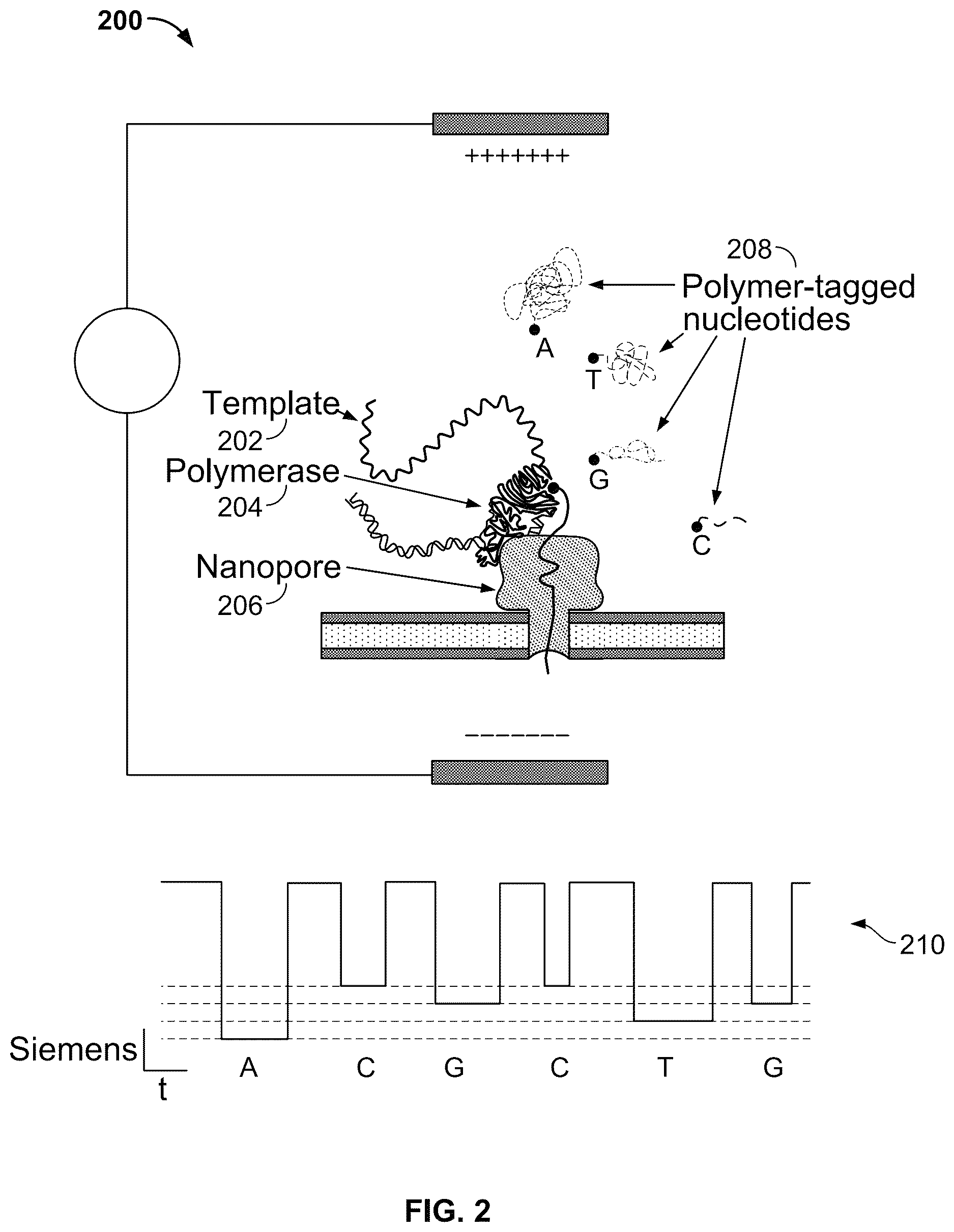 Patent US12618826 Figure 2 – Multi-chip packaging of integrated circuits and flow cells for nanopore sequencing