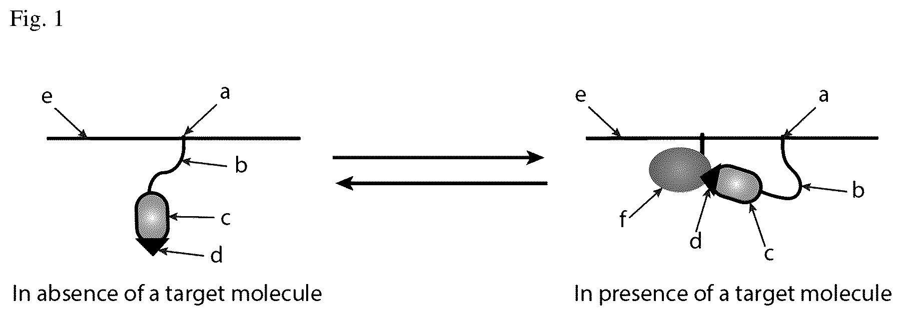 Patent US12618828 — Probe and method for detecting membrane-associated molecules in living cells — Figure 1