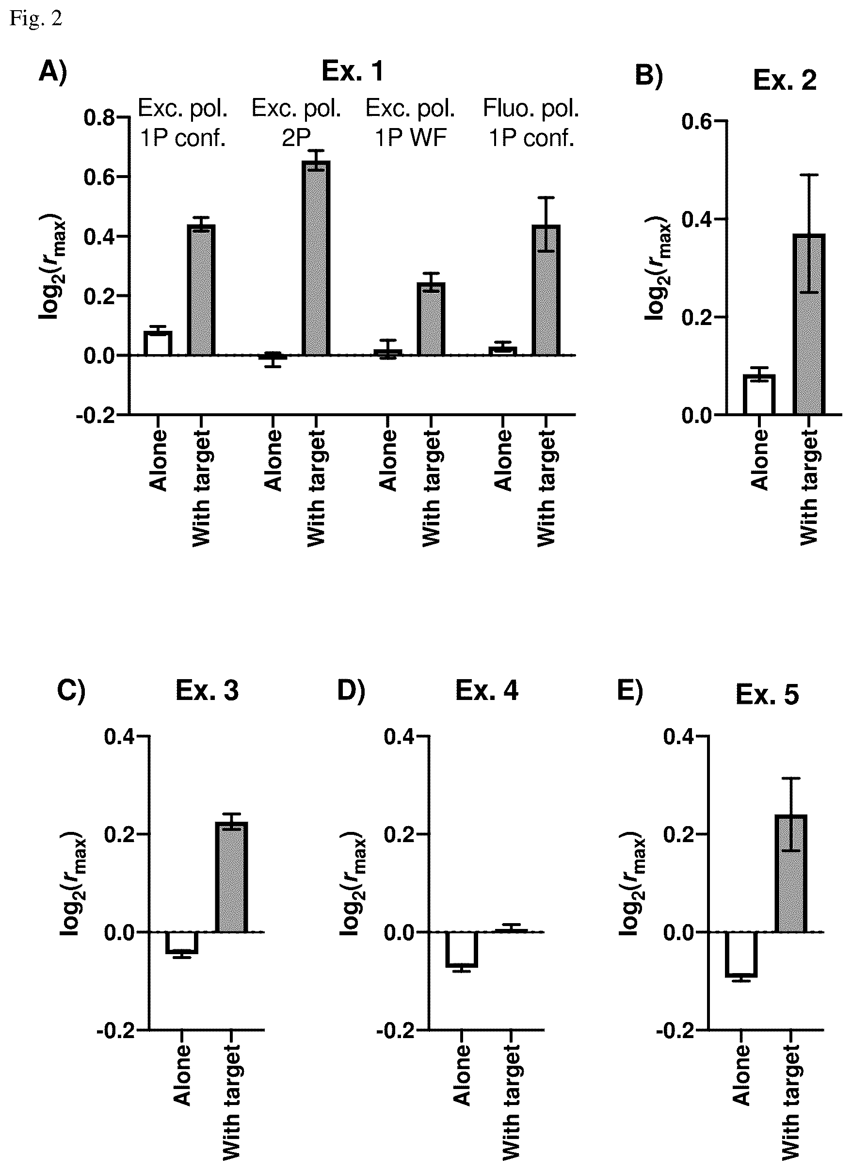 Patent US12618828 Figure 2 – Probe and method for detecting membrane-associated molecules in living cells