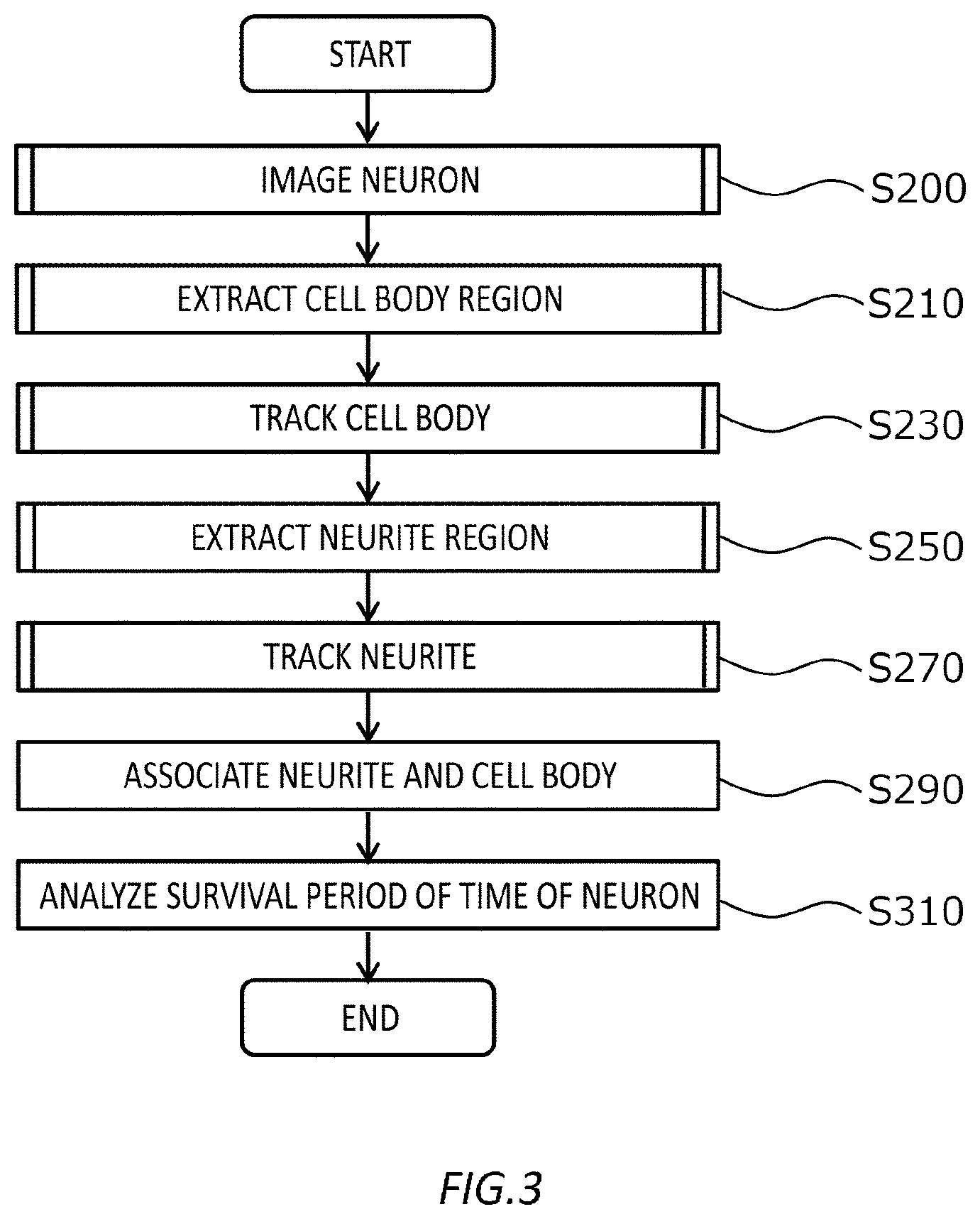 Patent US12618829 Figure 3 – Method of analyzing neurons, device for analyzing neurons, and computer program