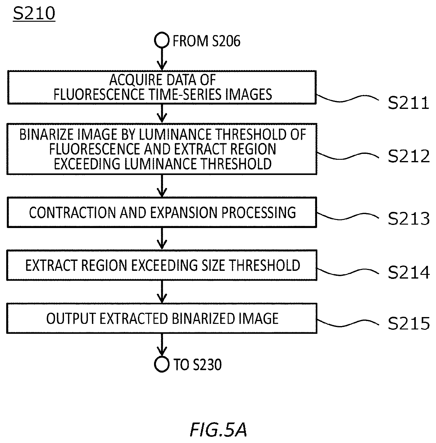 Patent US12618829 Figure 5 – Method of analyzing neurons, device for analyzing neurons, and computer program