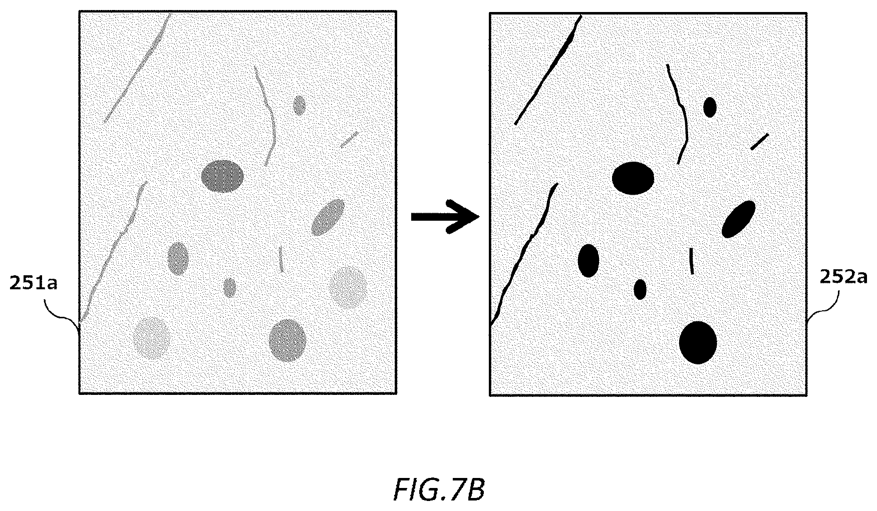 Patent US12618829 Figure 13 – Method of analyzing neurons, device for analyzing neurons, and computer program