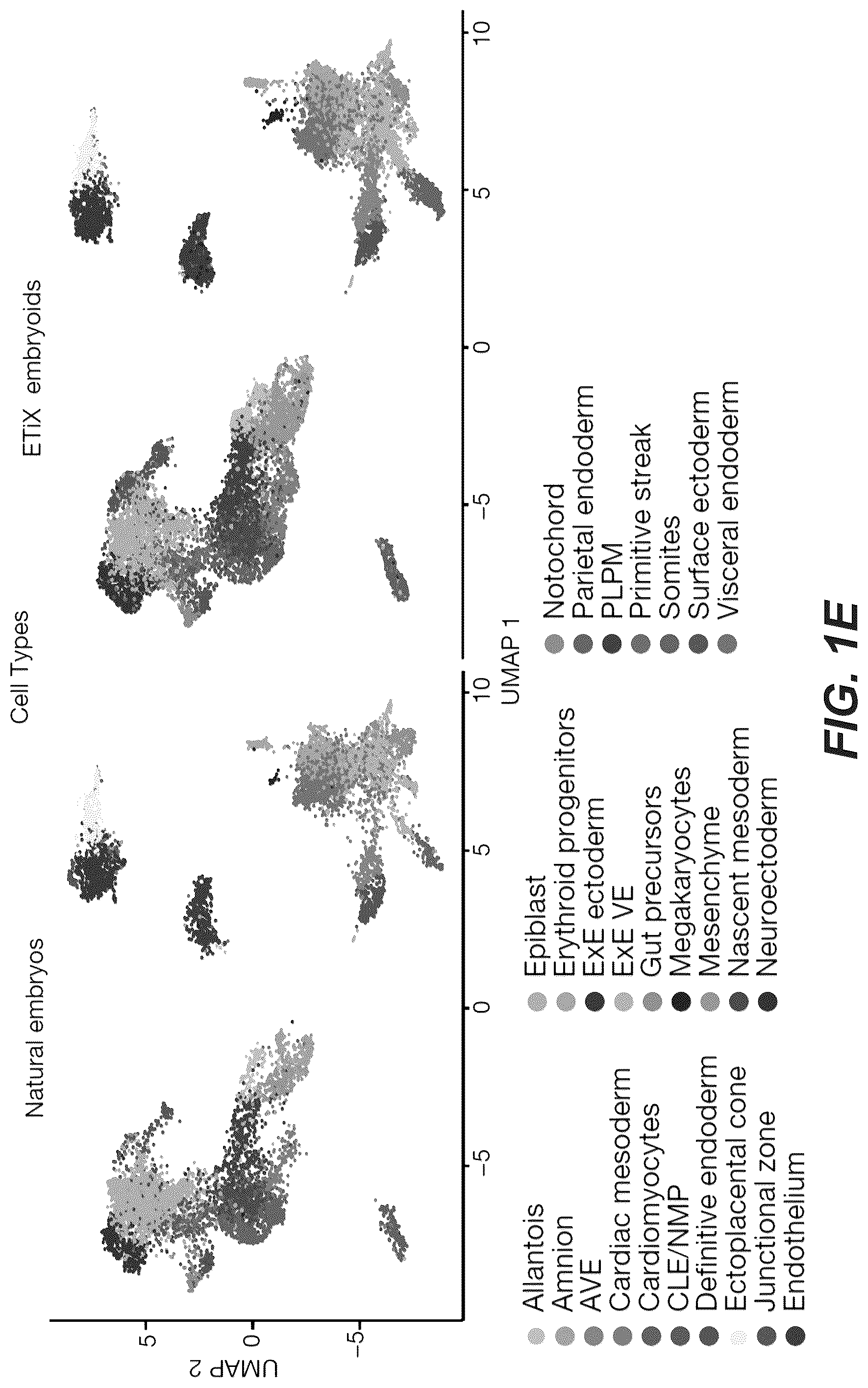 Patent US12618830 Figure 4 – Methods, culture medias and devices for generating embryos in vitro from stem cells