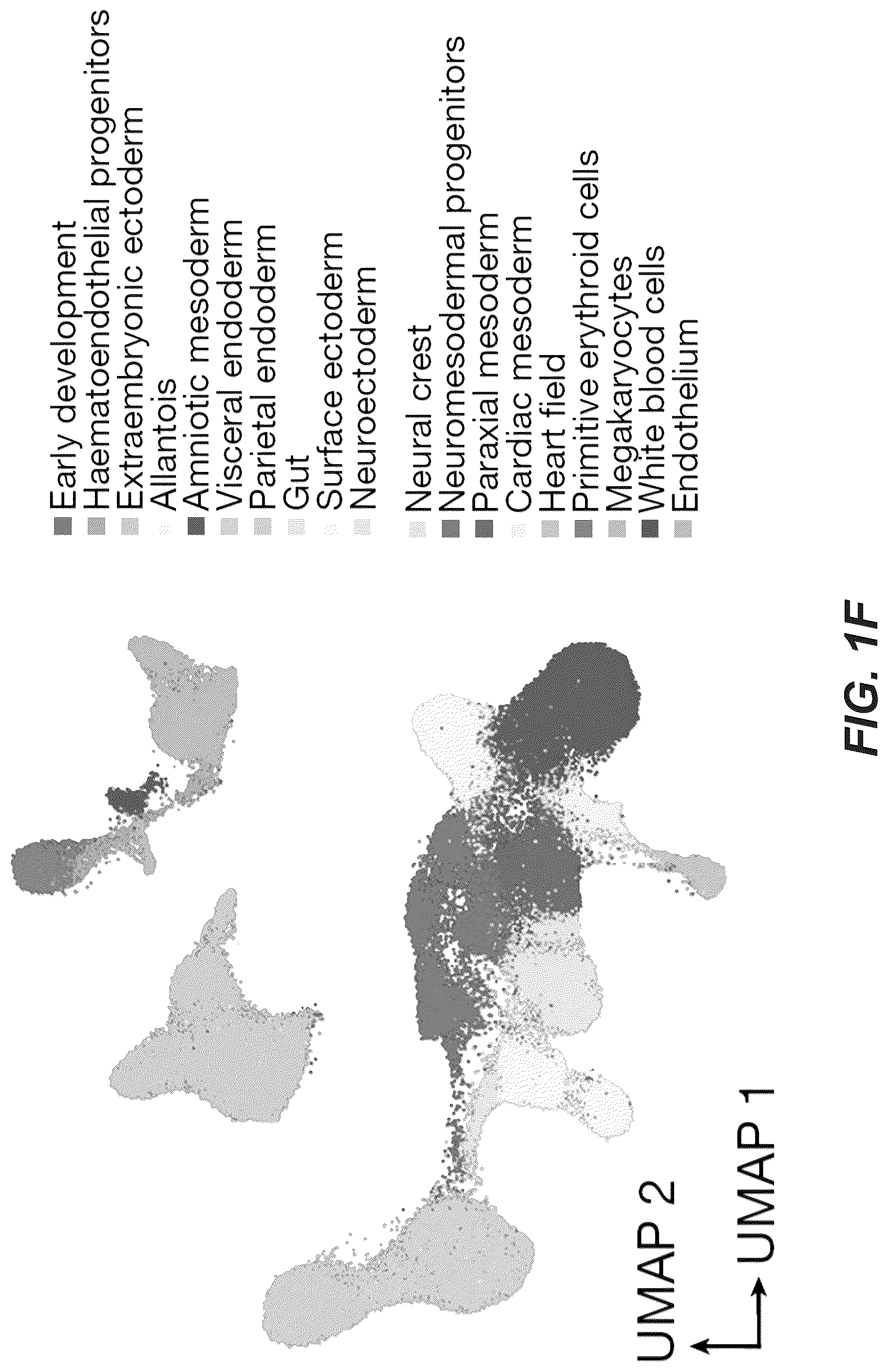 Patent US12618830 Figure 5 – Methods, culture medias and devices for generating embryos in vitro from stem cells