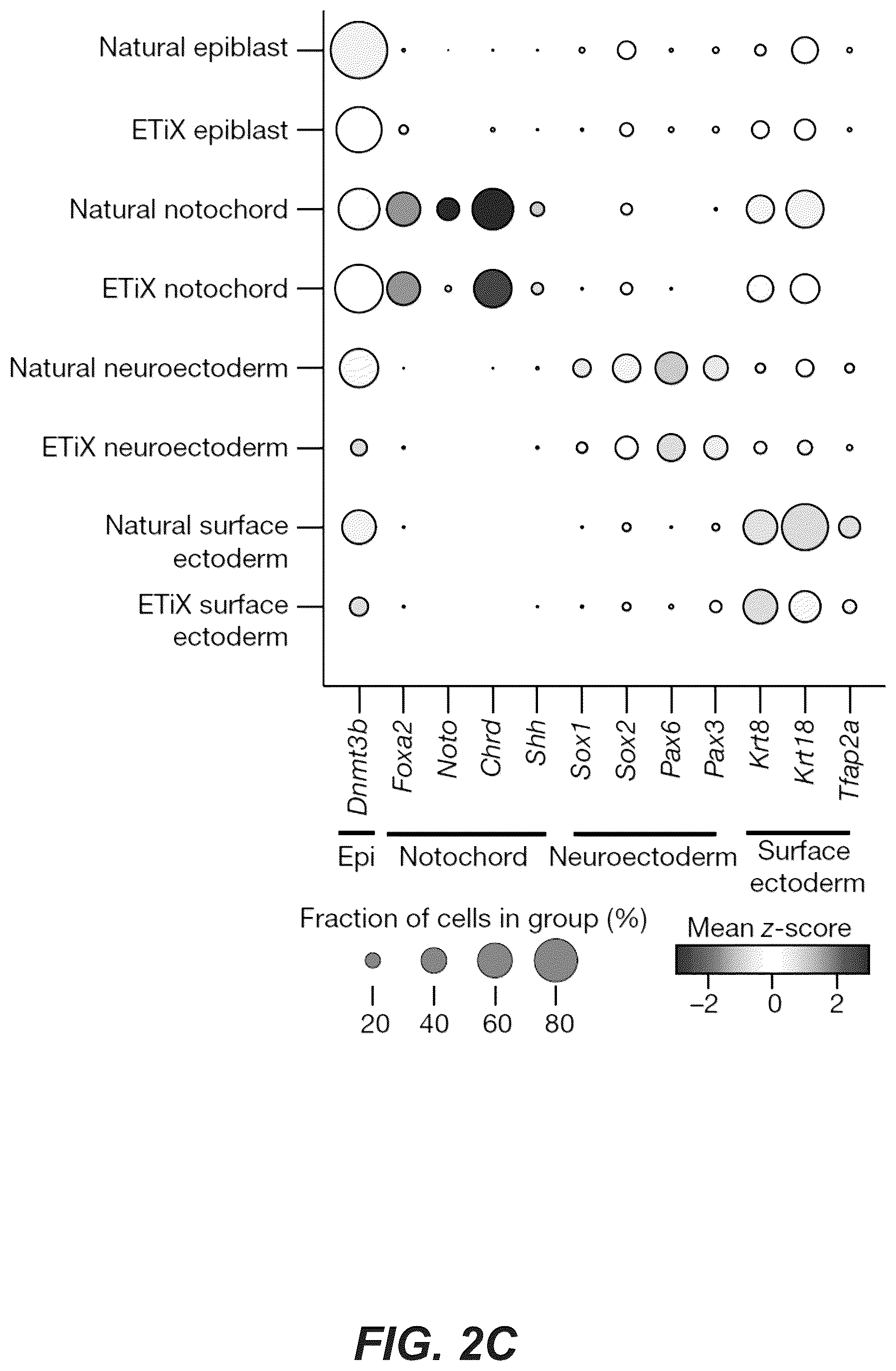 Patent US12618830 Figure 10 – Methods, culture medias and devices for generating embryos in vitro from stem cells
