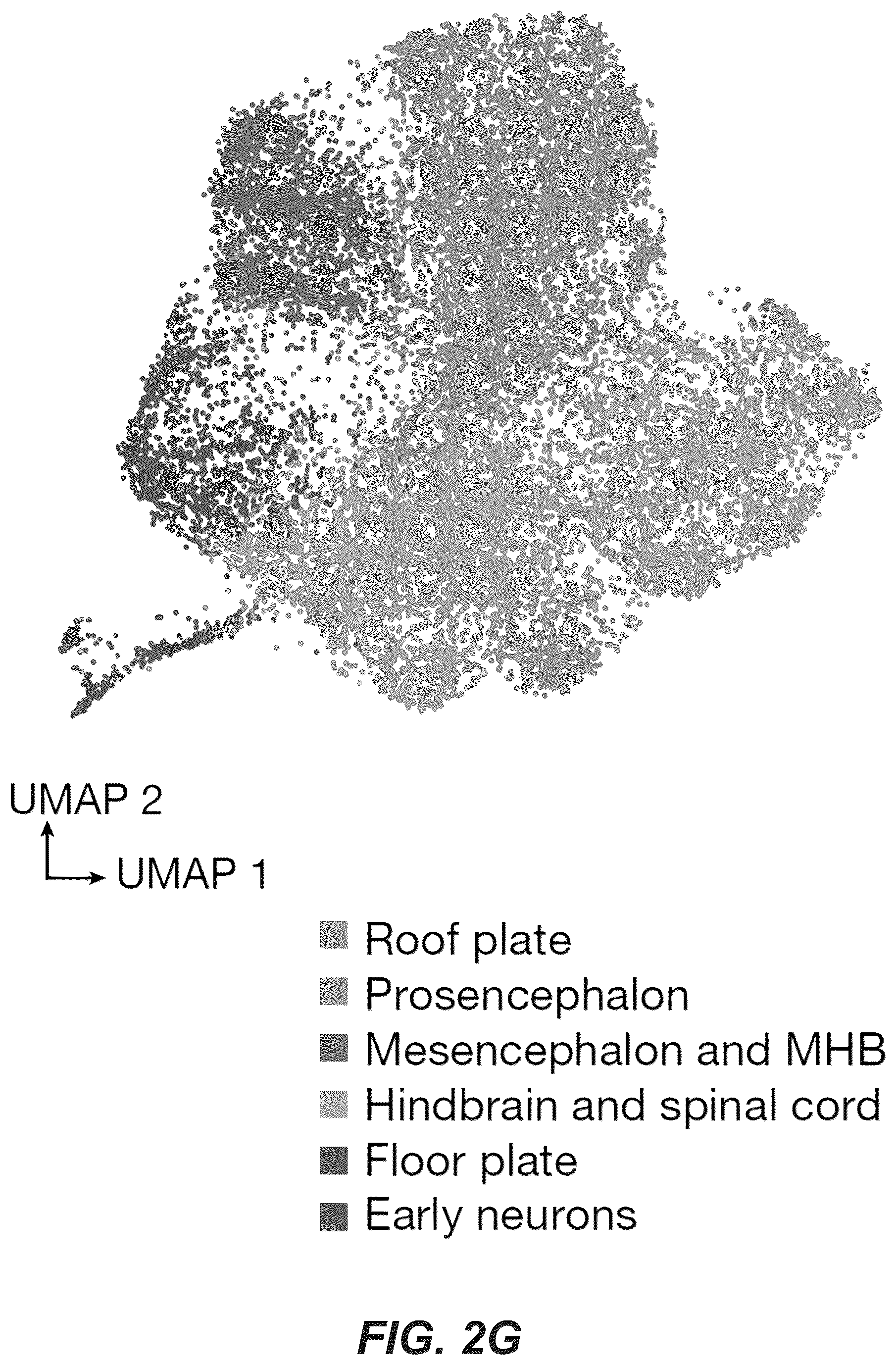 Patent US12618830 Figure 14 – Methods, culture medias and devices for generating embryos in vitro from stem cells