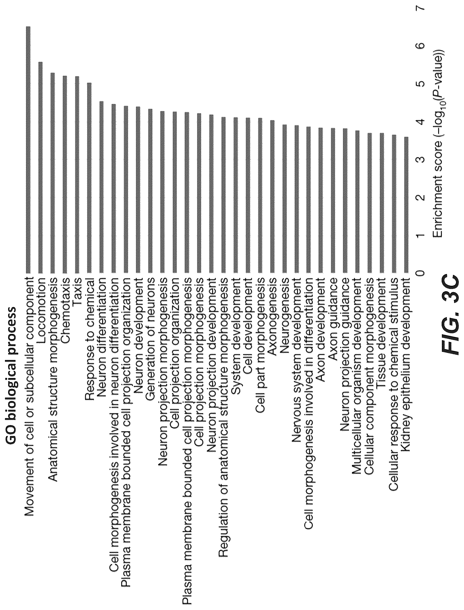 Patent US12618830 Figure 19 – Methods, culture medias and devices for generating embryos in vitro from stem cells