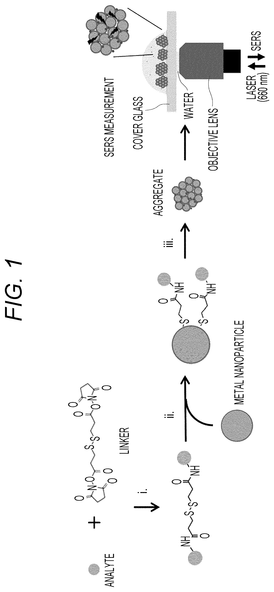 Patent US12618834 Figure 1 – Measurement sample preparation method, analysis method, reagent, and reagent kit