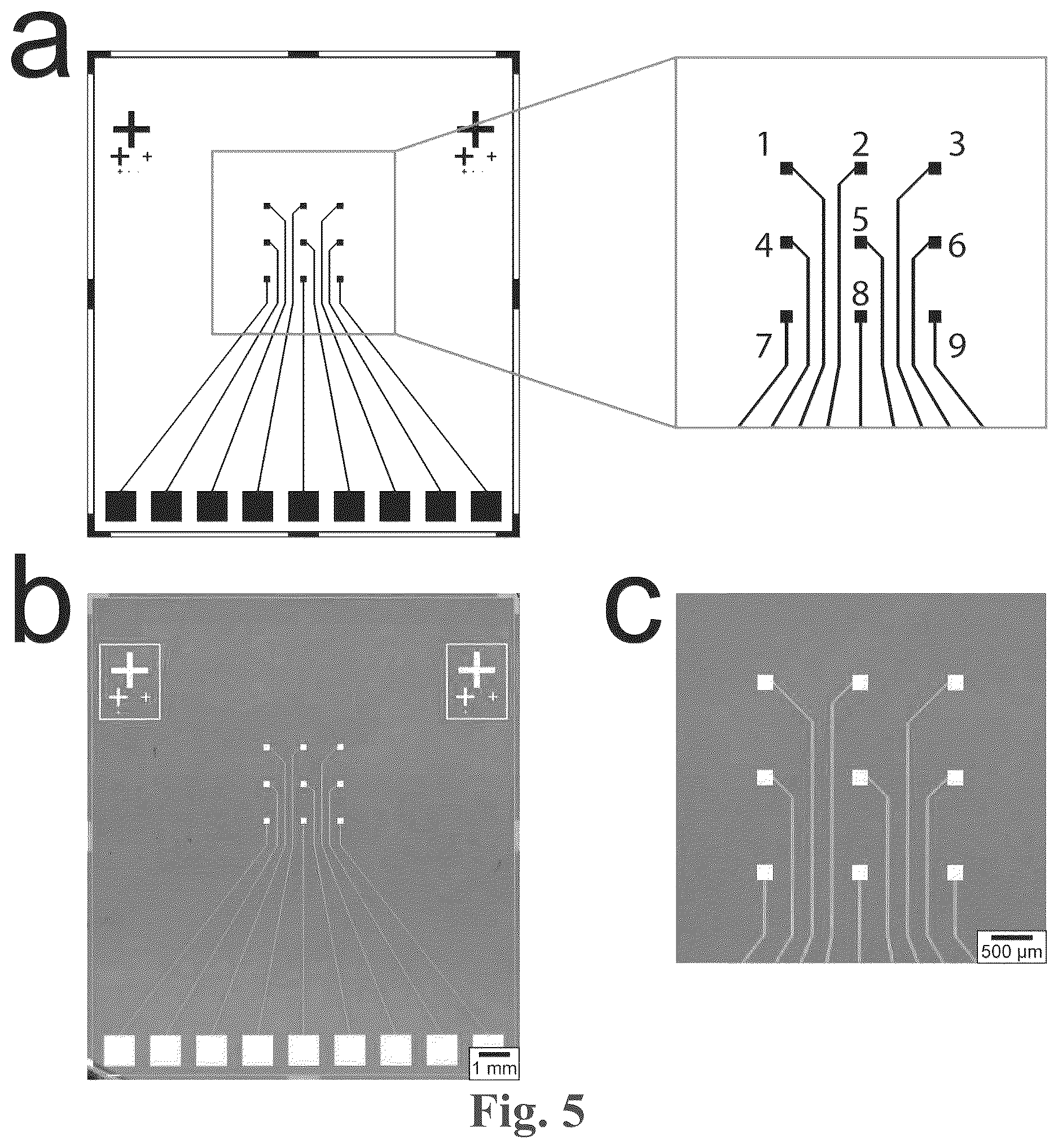 Patent US12618835 Figure 4 – Multiplex microelectrode array for detection of proteases as biomarkers