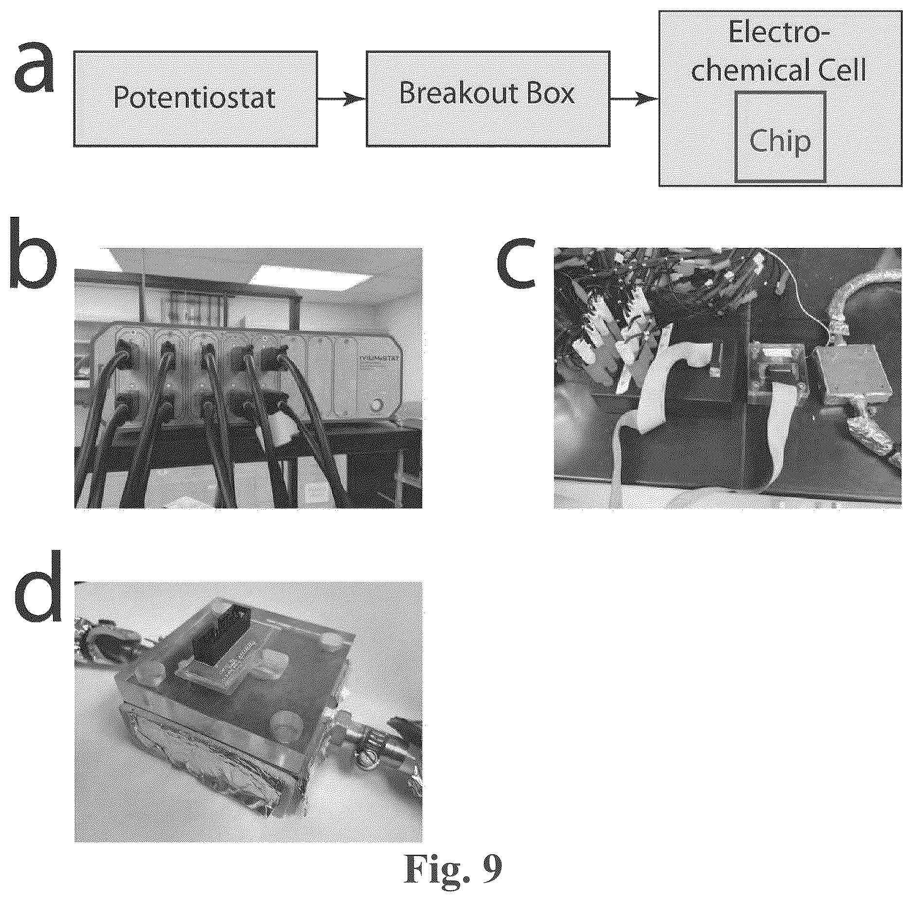 Patent US12618835 Figure 7 – Multiplex microelectrode array for detection of proteases as biomarkers