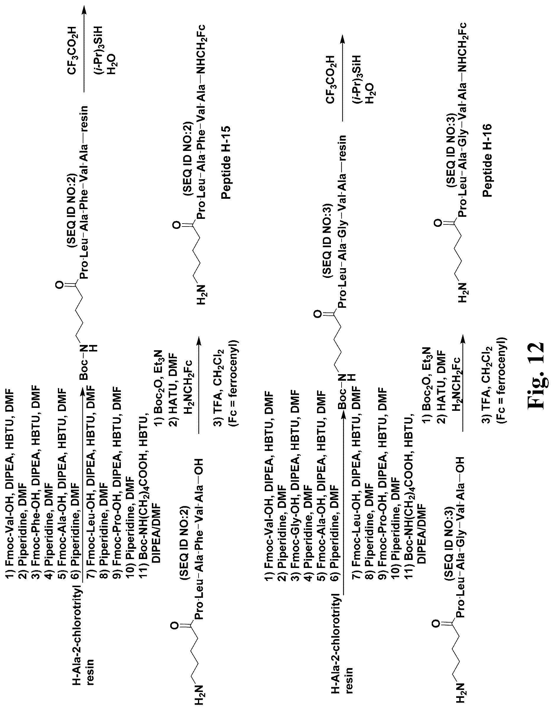 Patent US12618835 Figure 10 – Multiplex microelectrode array for detection of proteases as biomarkers