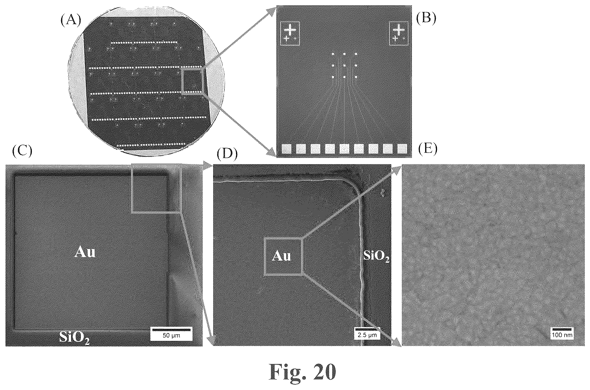 Patent US12618835 Figure 17 – Multiplex microelectrode array for detection of proteases as biomarkers