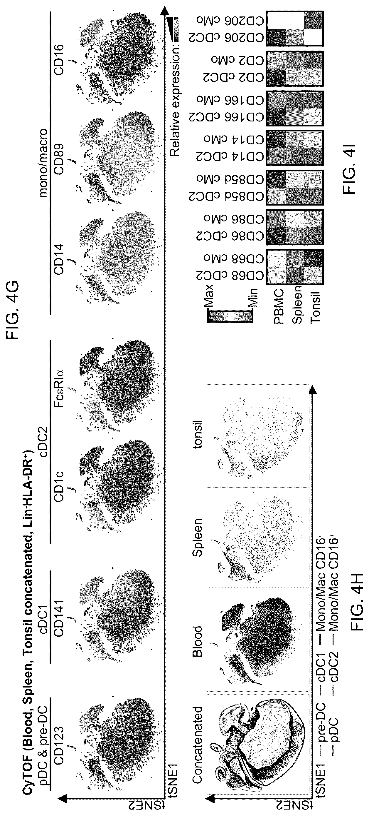 Patent US12618837 Figure 7 – Method of identifying pro-inflammatory dendritic cells