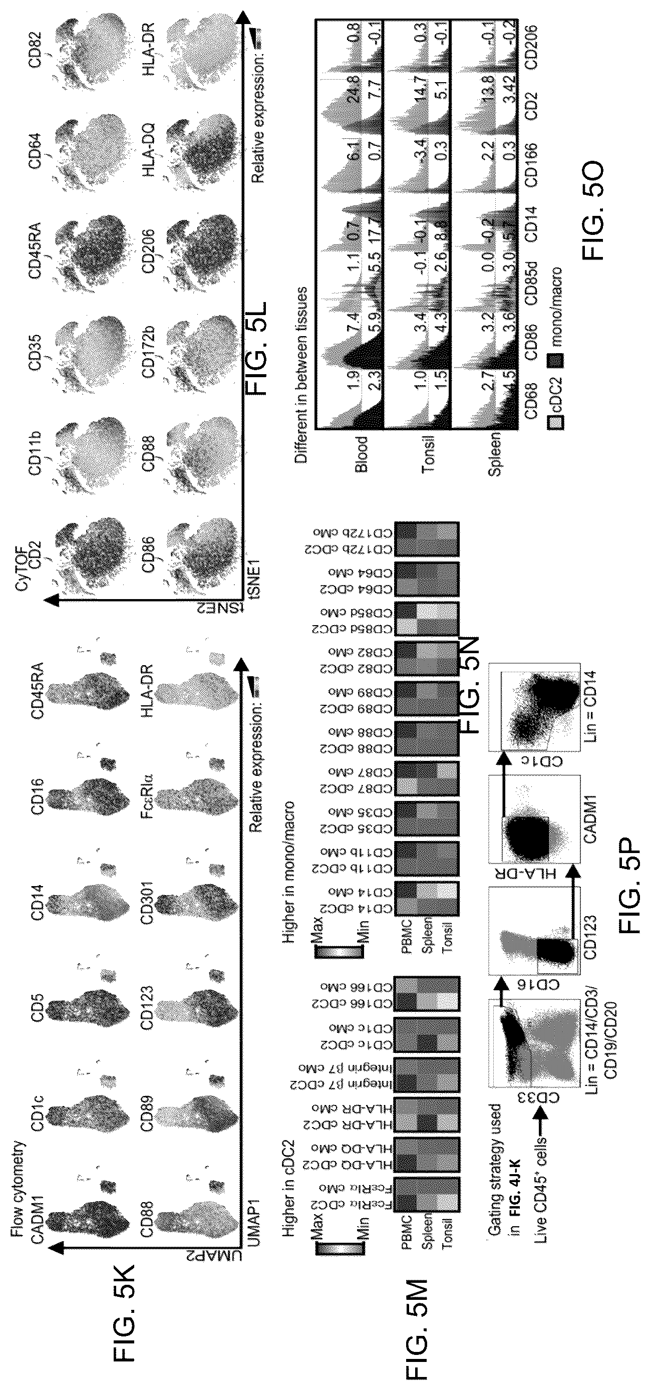 Patent US12618837 Figure 11 – Method of identifying pro-inflammatory dendritic cells
